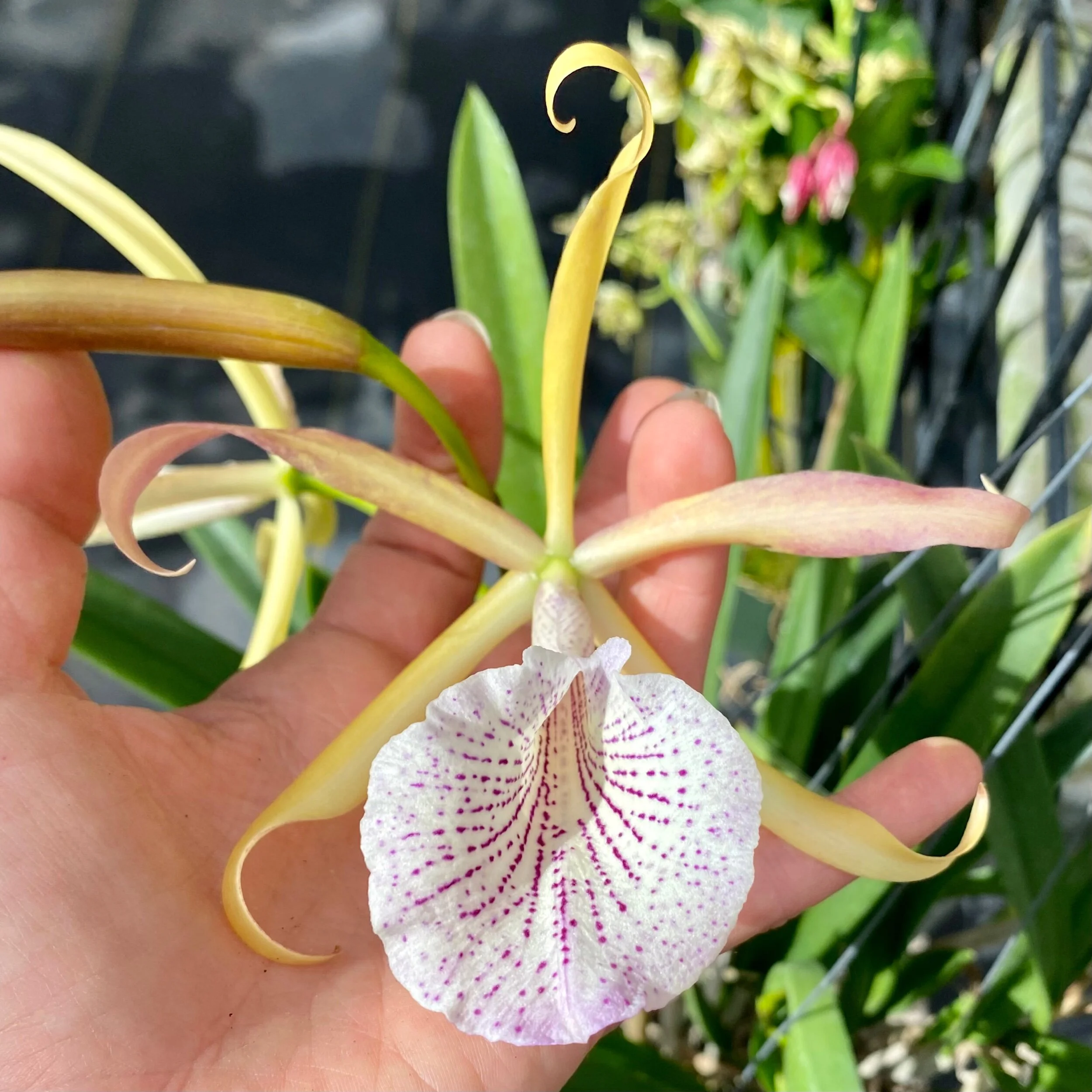 6CD9D78B-D90A-4807-A52B-5C1AB6F37262