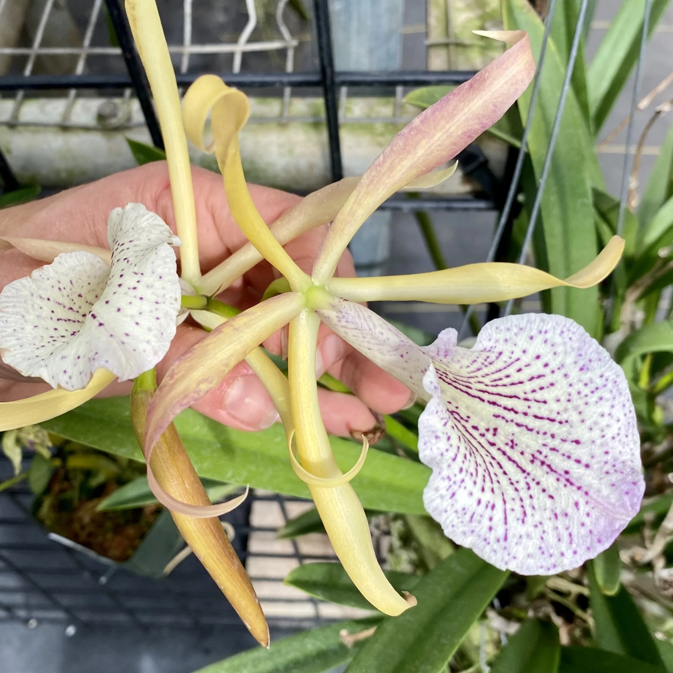 B14D7BE9-A9B0-4FCF-BE9B-B7F519F7111E