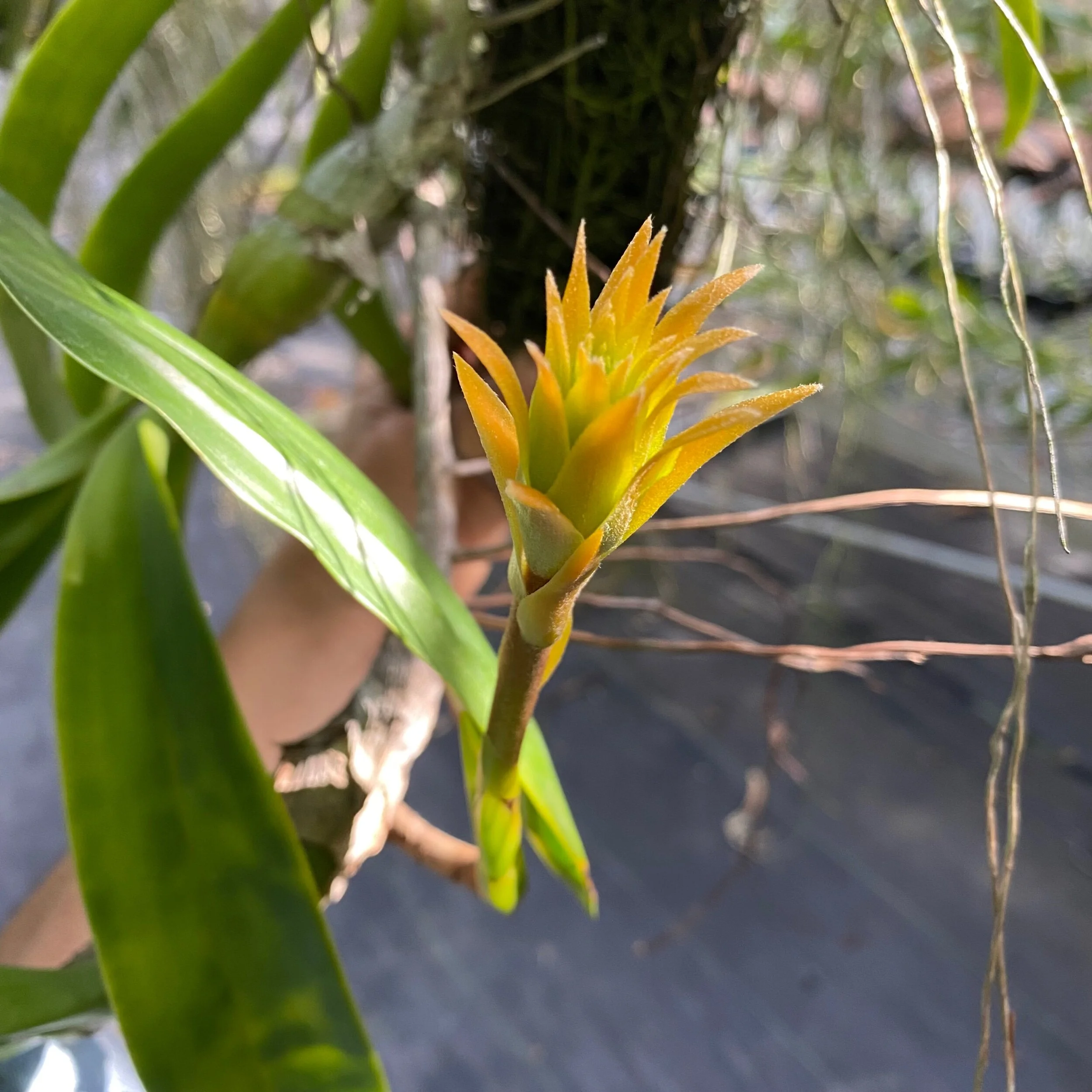 9760F607-B786-4F9A-8D26-58F1B4CB9D8B