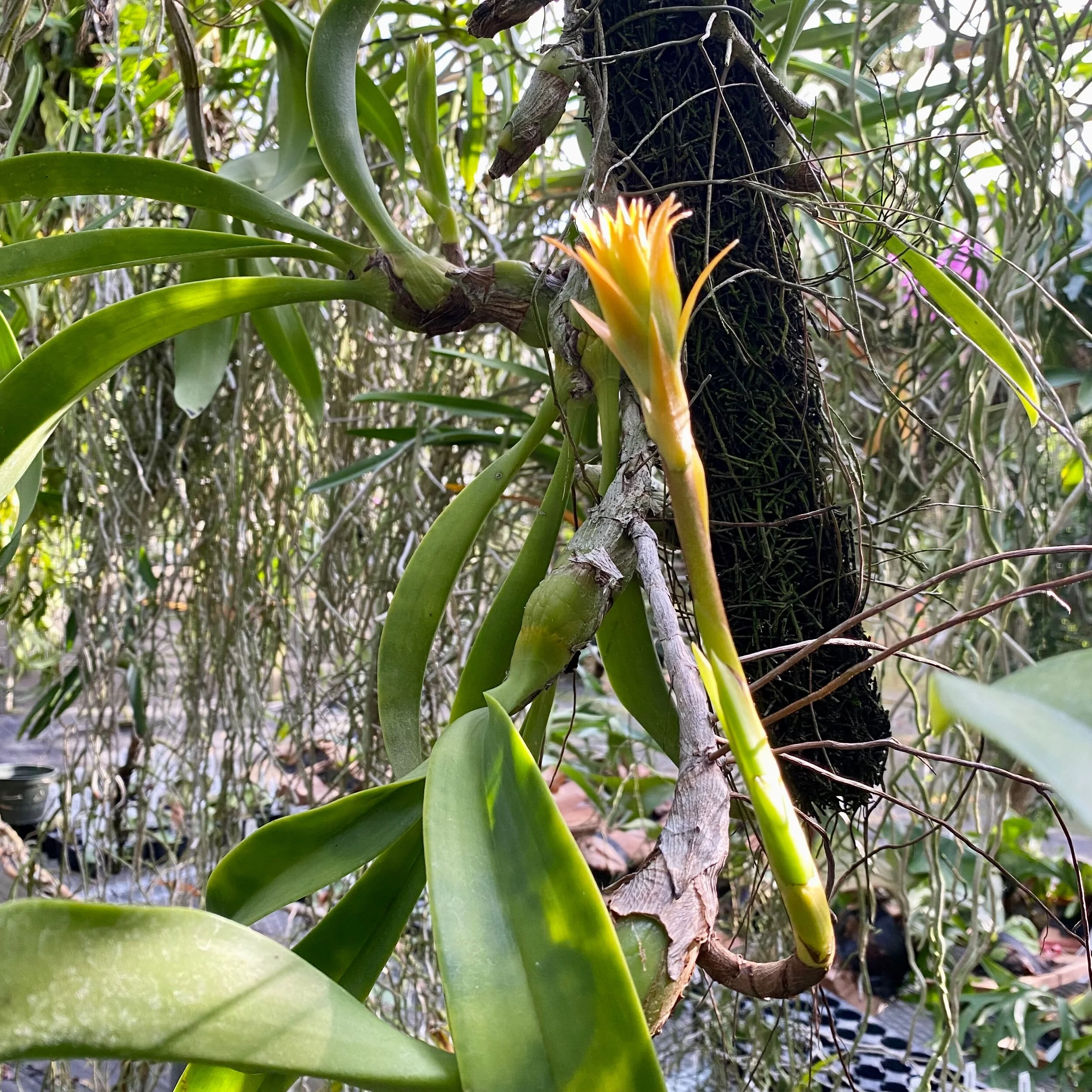 1A40EAB9-BCFB-4911-B4BC-E03801D56DCB