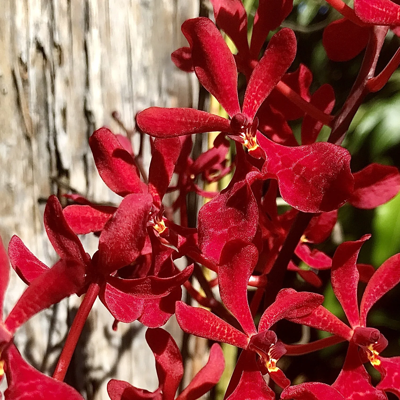 BFB7E8AE-F203-441A-B07B-A9A5644A4419