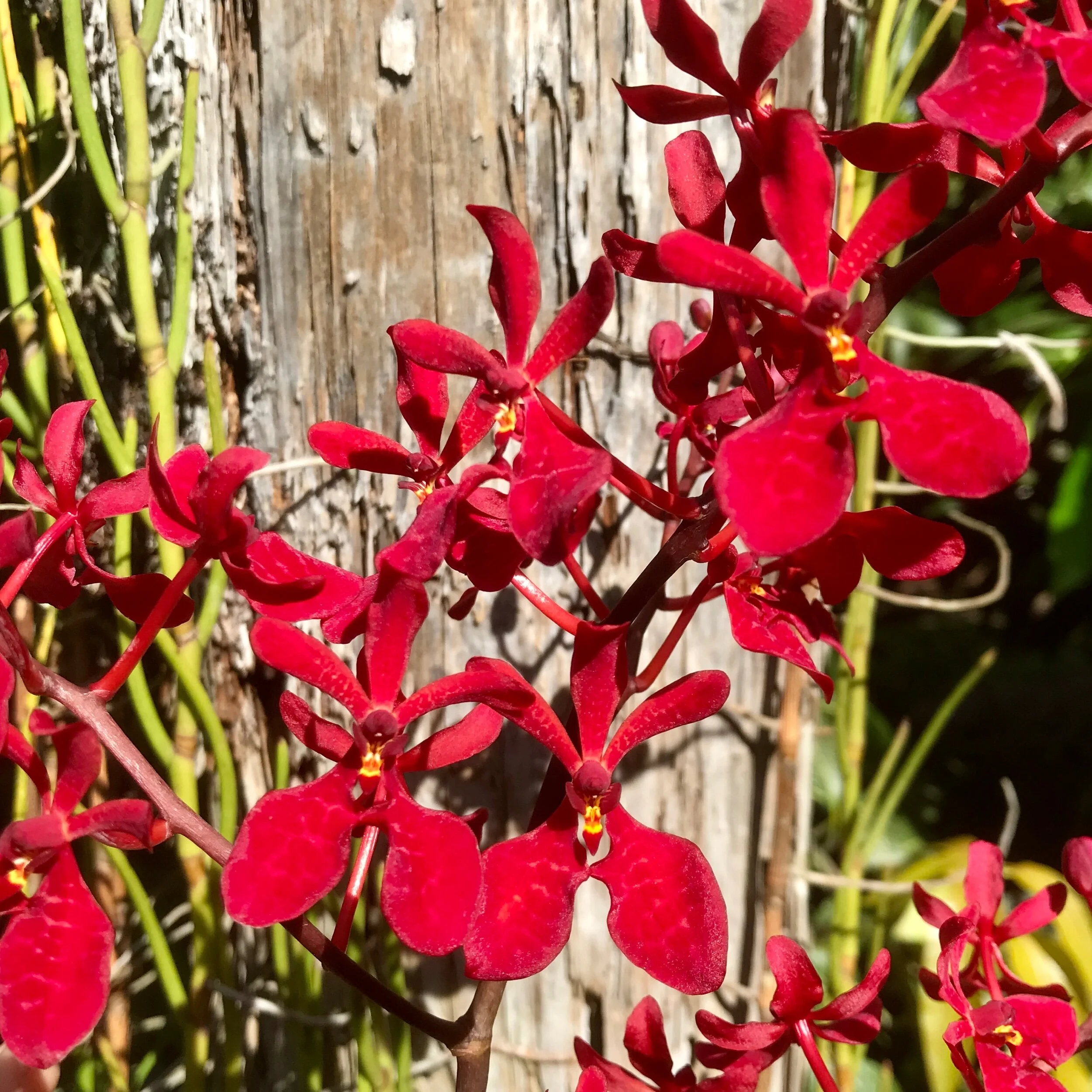 32DA1EB7-F522-4504-BBF8-11C6E6C1F8B8