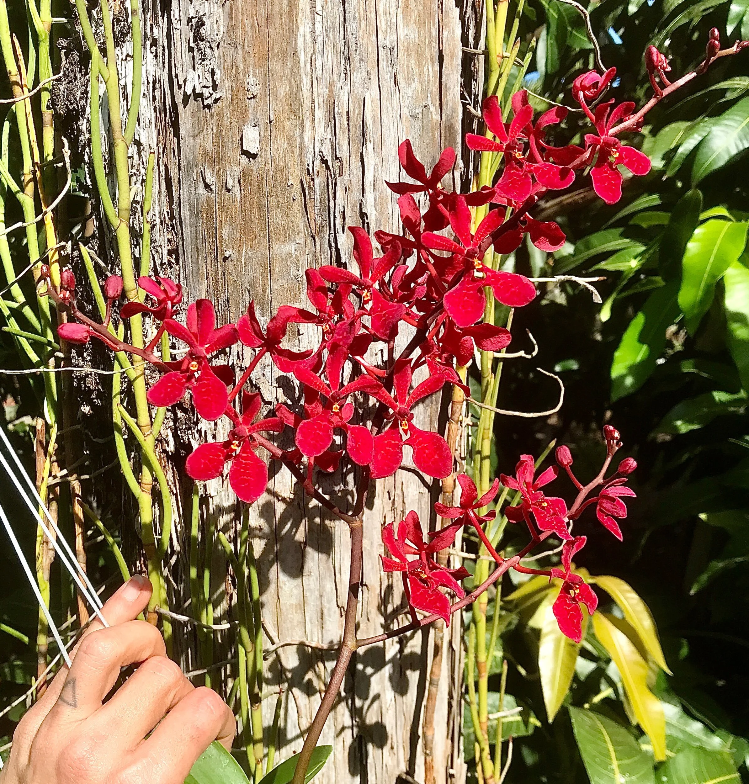 759A1333-562F-4643-904E-2047EF9F0AEC