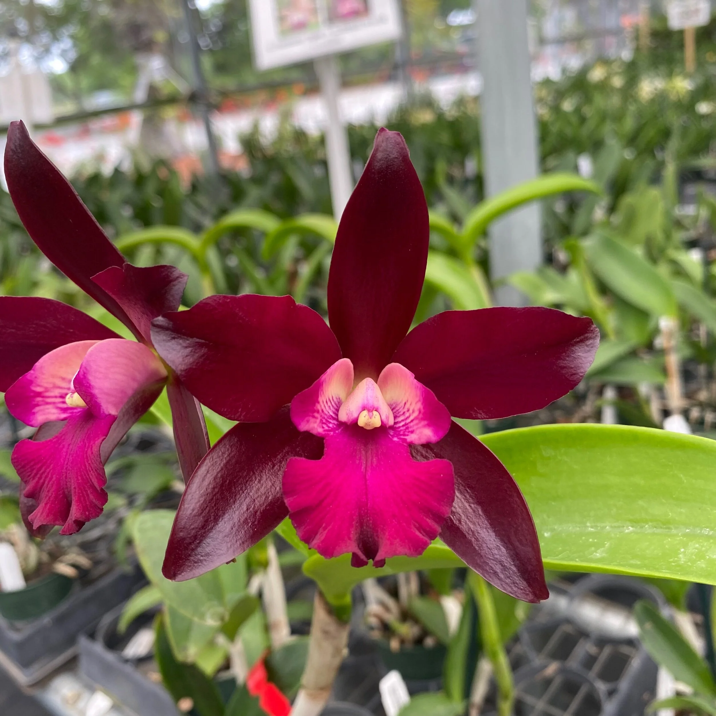 282372B0-926E-4296-867A-8C3B8069C3FF