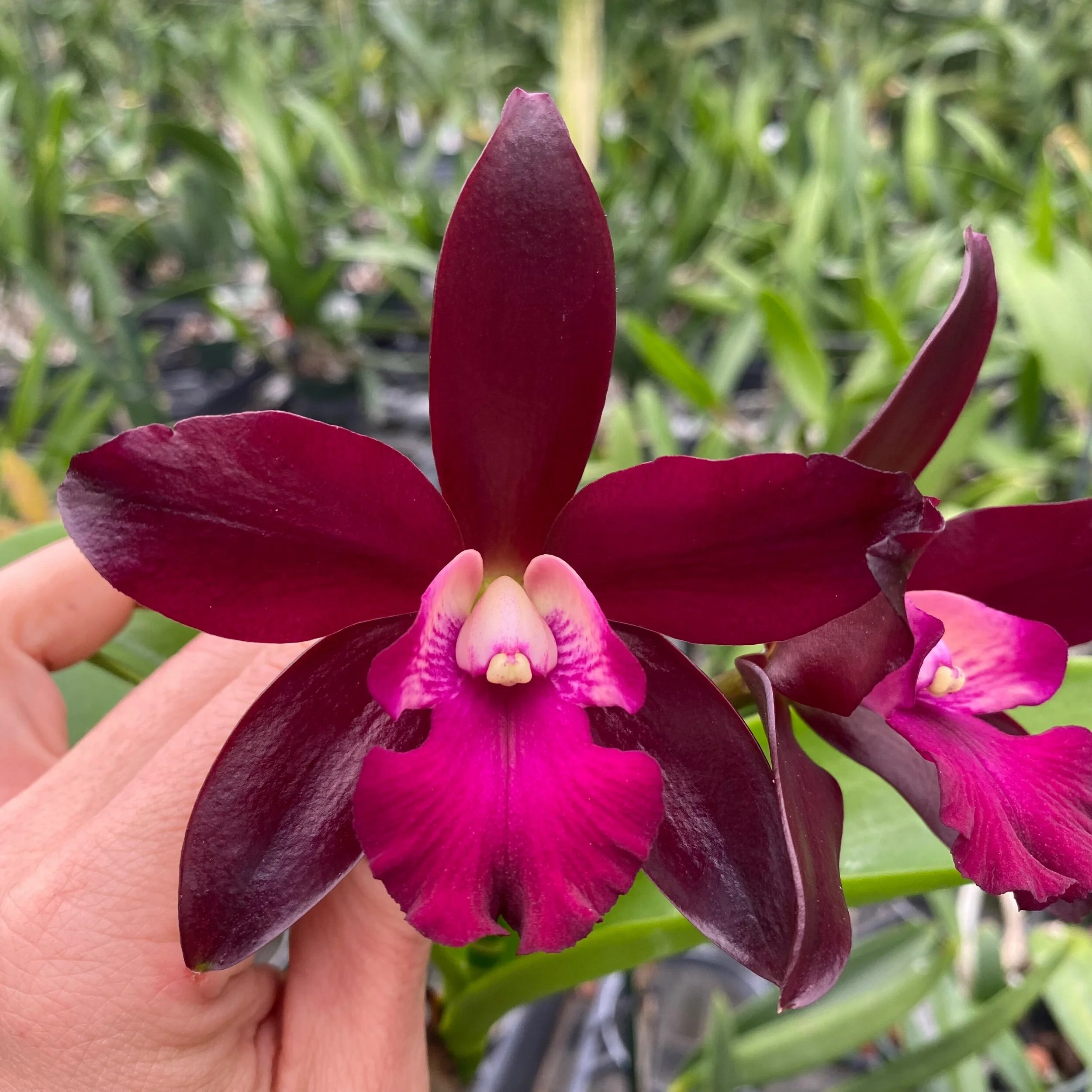 D89227C1-0B90-4529-8082-EBA72CF4C61D