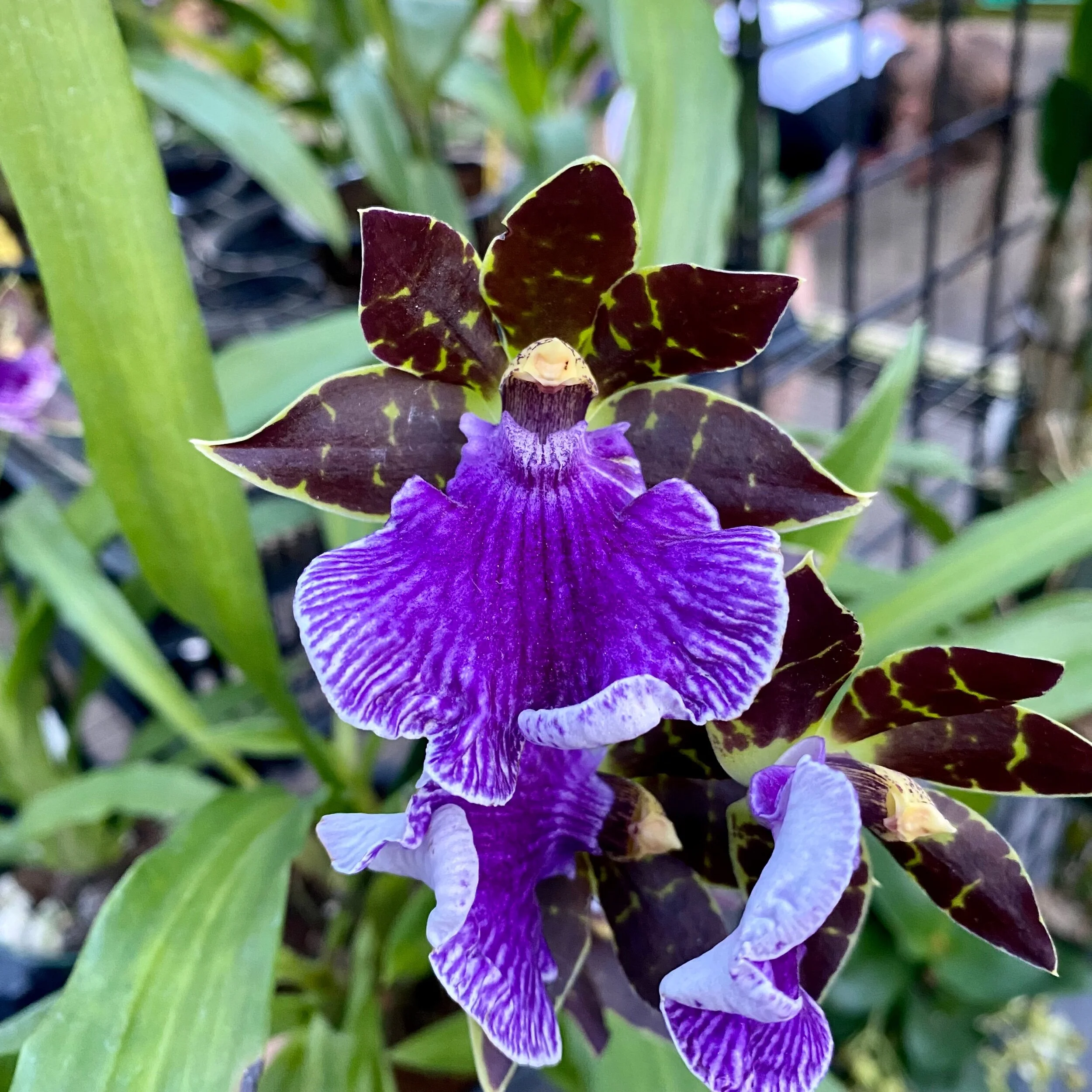 C6233573-8508-4DFA-A02F-7E3C1DCAD910