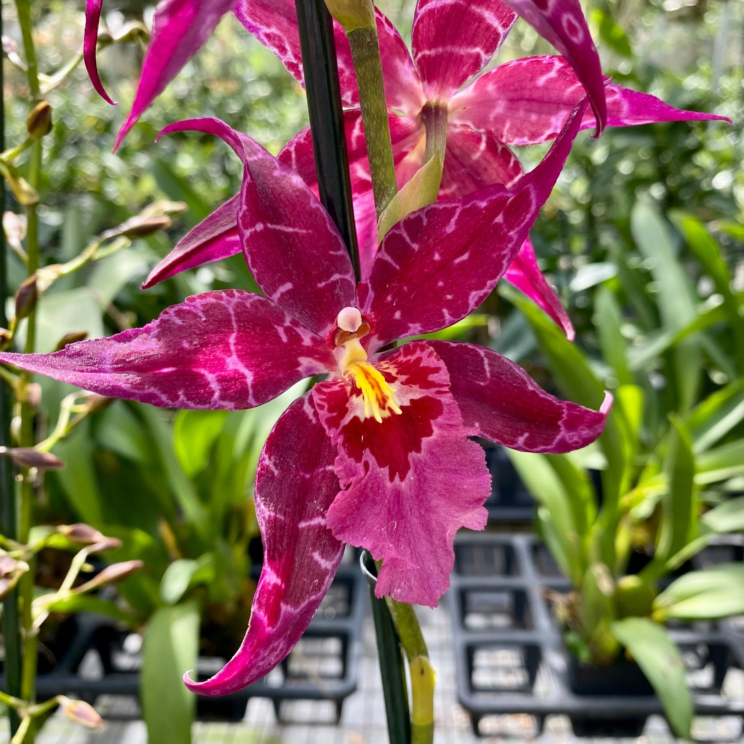 003A1622-60DA-4E5F-84EA-33D684F2D7A0