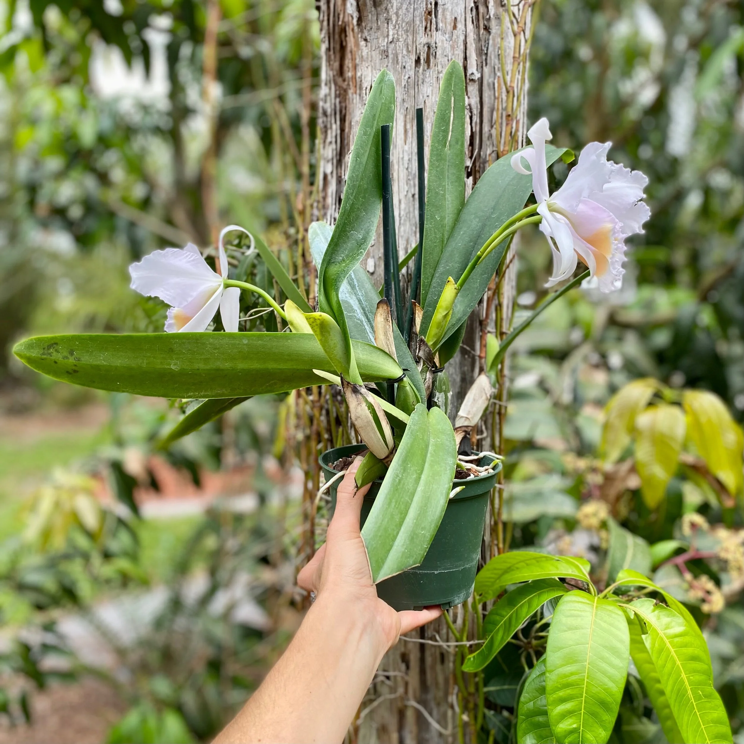 733DC247-60F0-4F62-AFE1-7B51841740B0