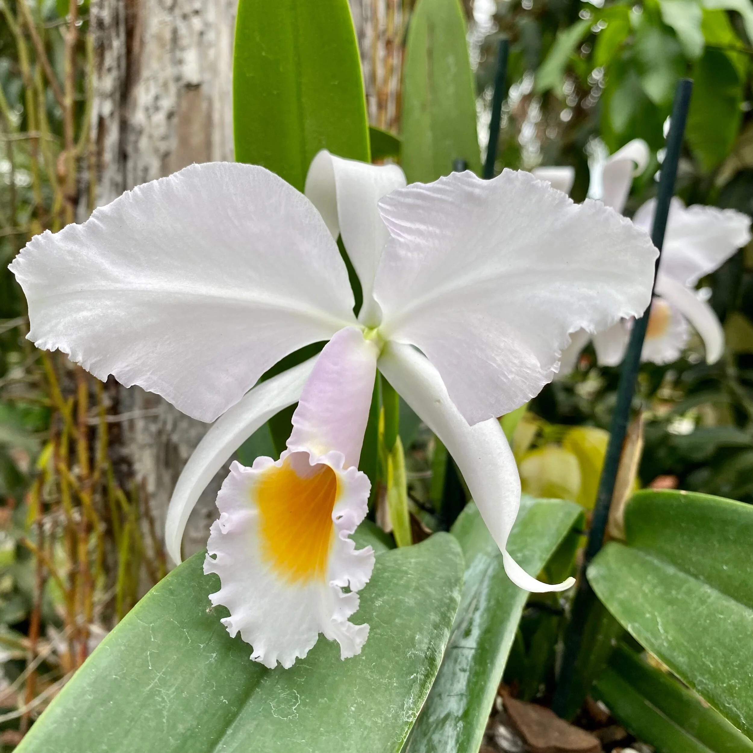 04FC7DF9-00BB-4AE1-9B16-066A6FBD4311