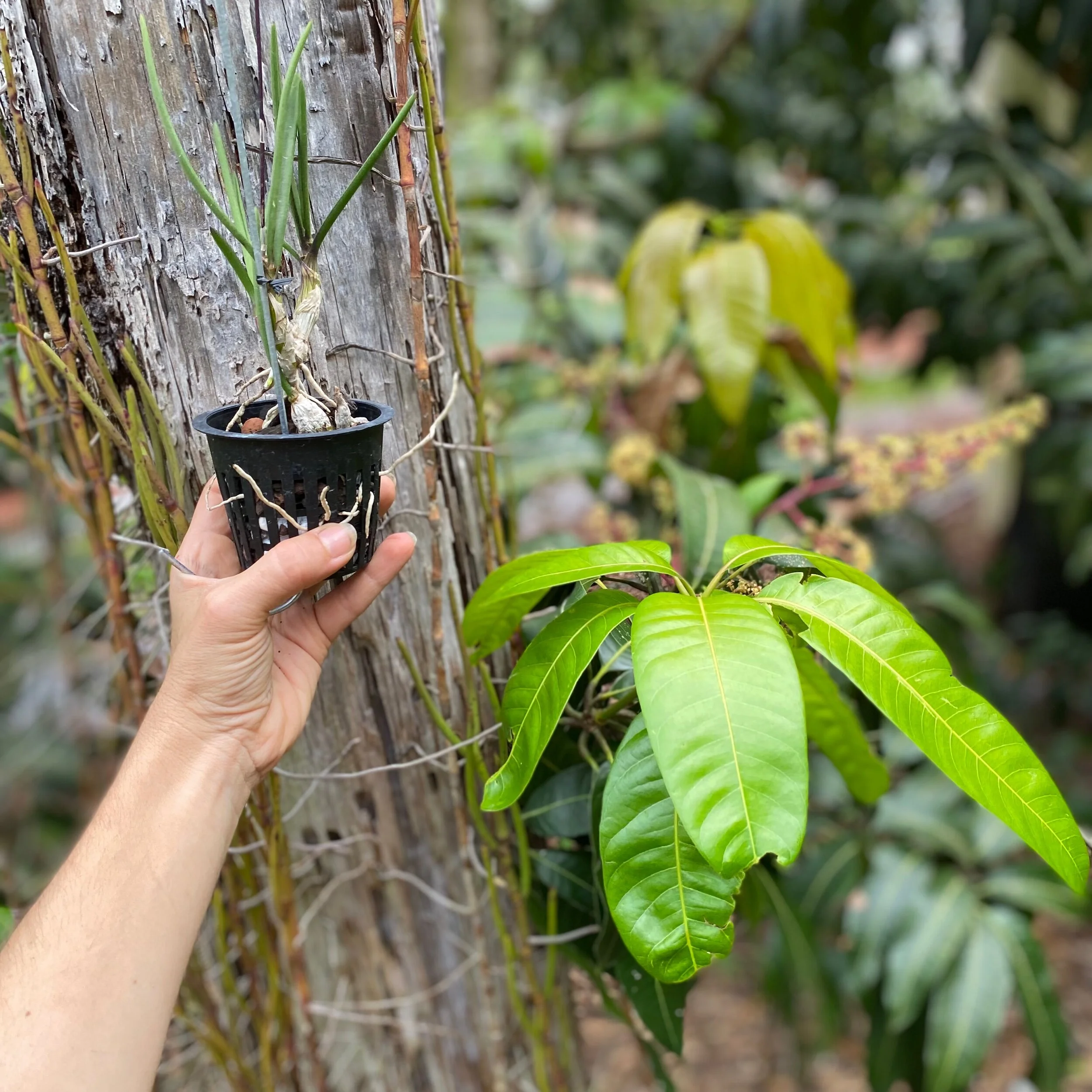 BEC306D2-552A-4BC9-ABB4-FE50DEA27EEC