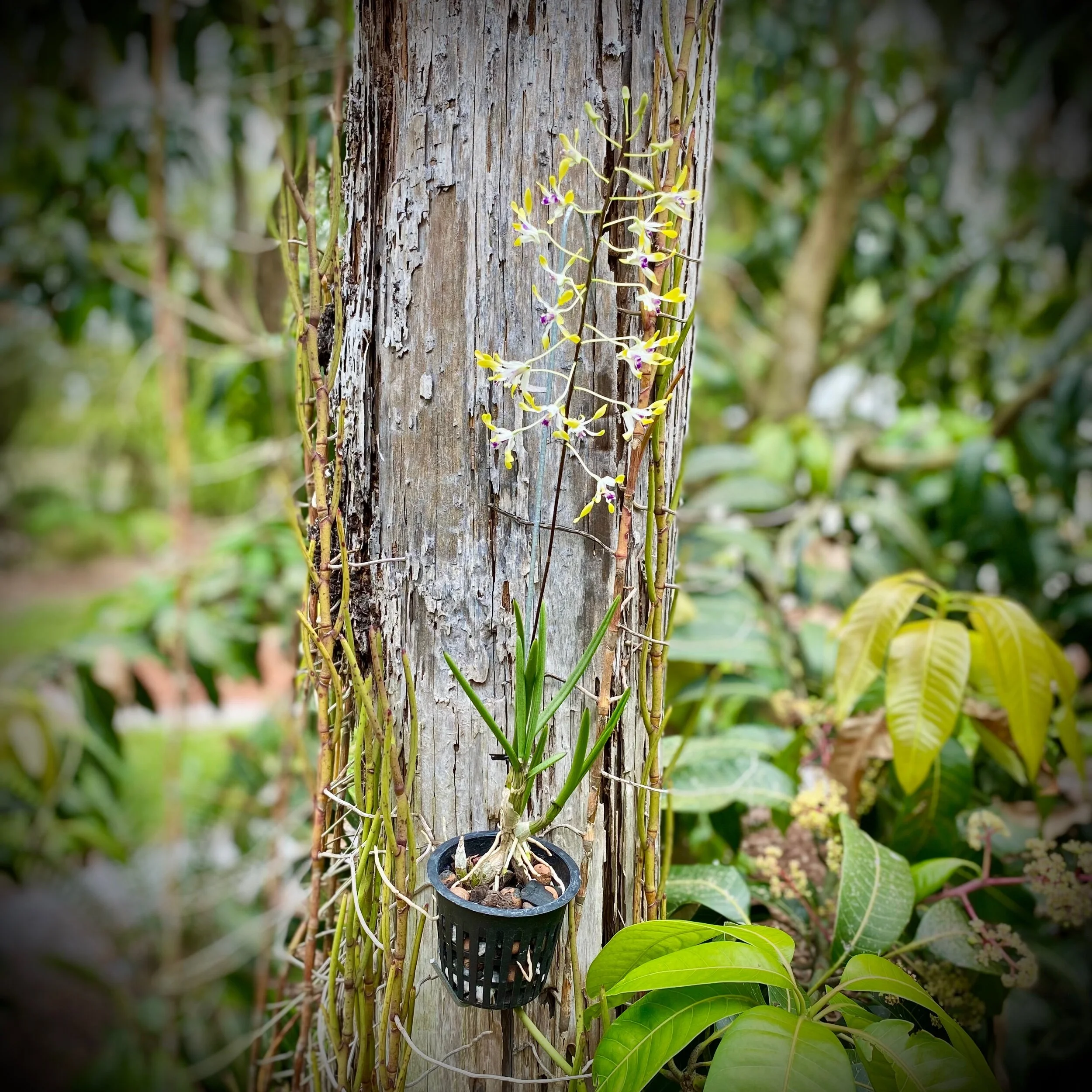 B99A0FCD-F37B-4C5E-99D7-7F9DD884202D