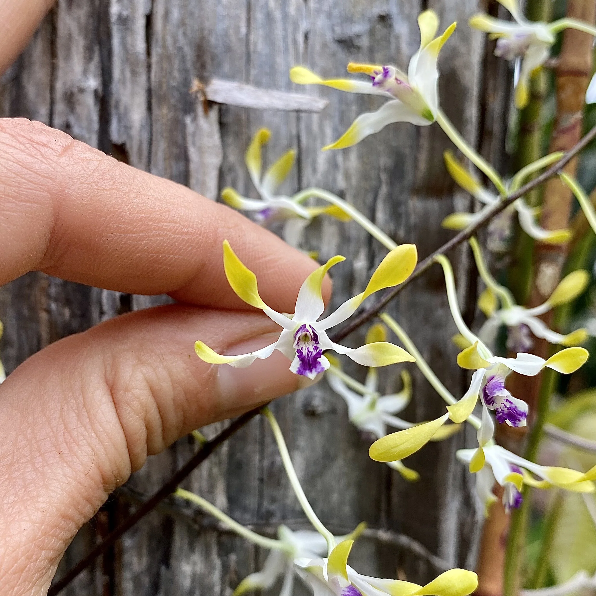 3A561995-9D60-4D76-9CB6-F5D671328390