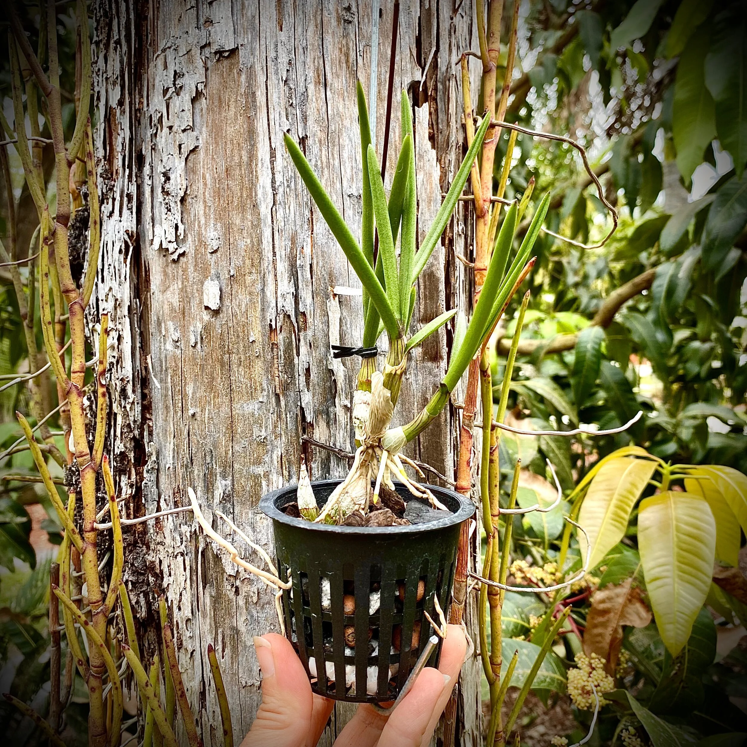 463C7B63-C336-4350-ACB1-7D49E3D0FE41