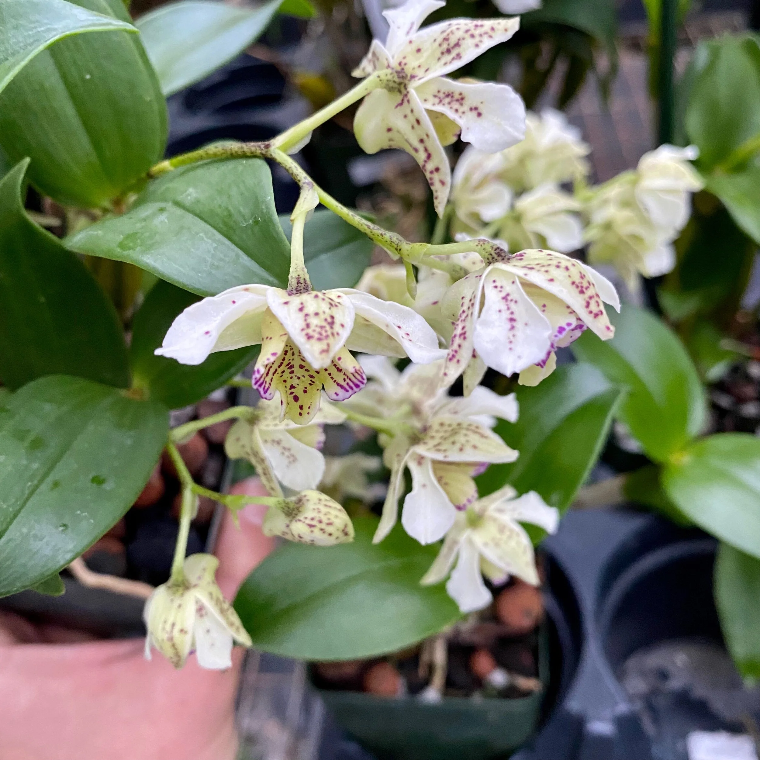 860FE259-FE90-42CC-B6C2-26B6919FDA8E