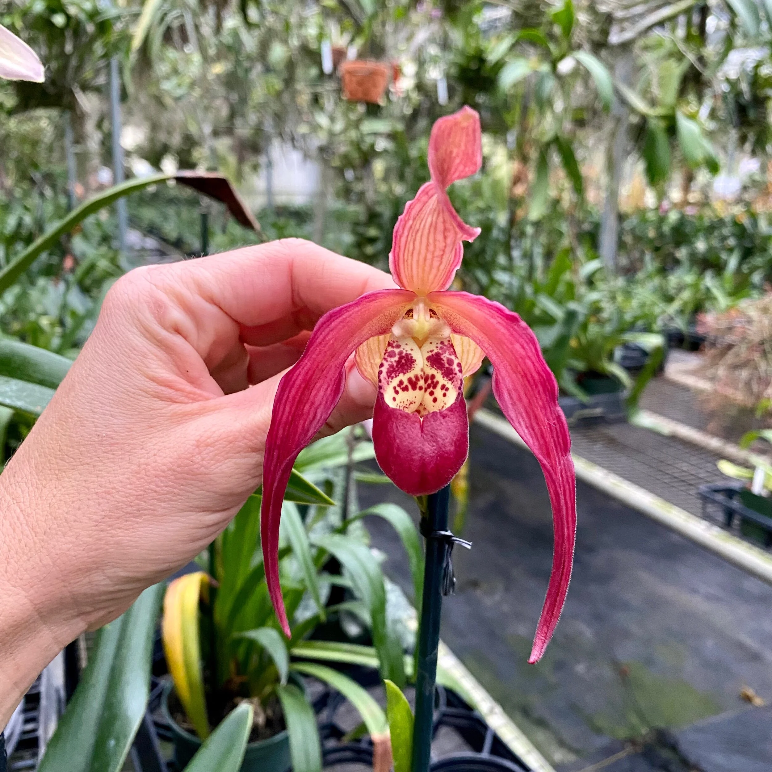 EB4EE6CA-3821-4D29-9A46-6678113A5FA6