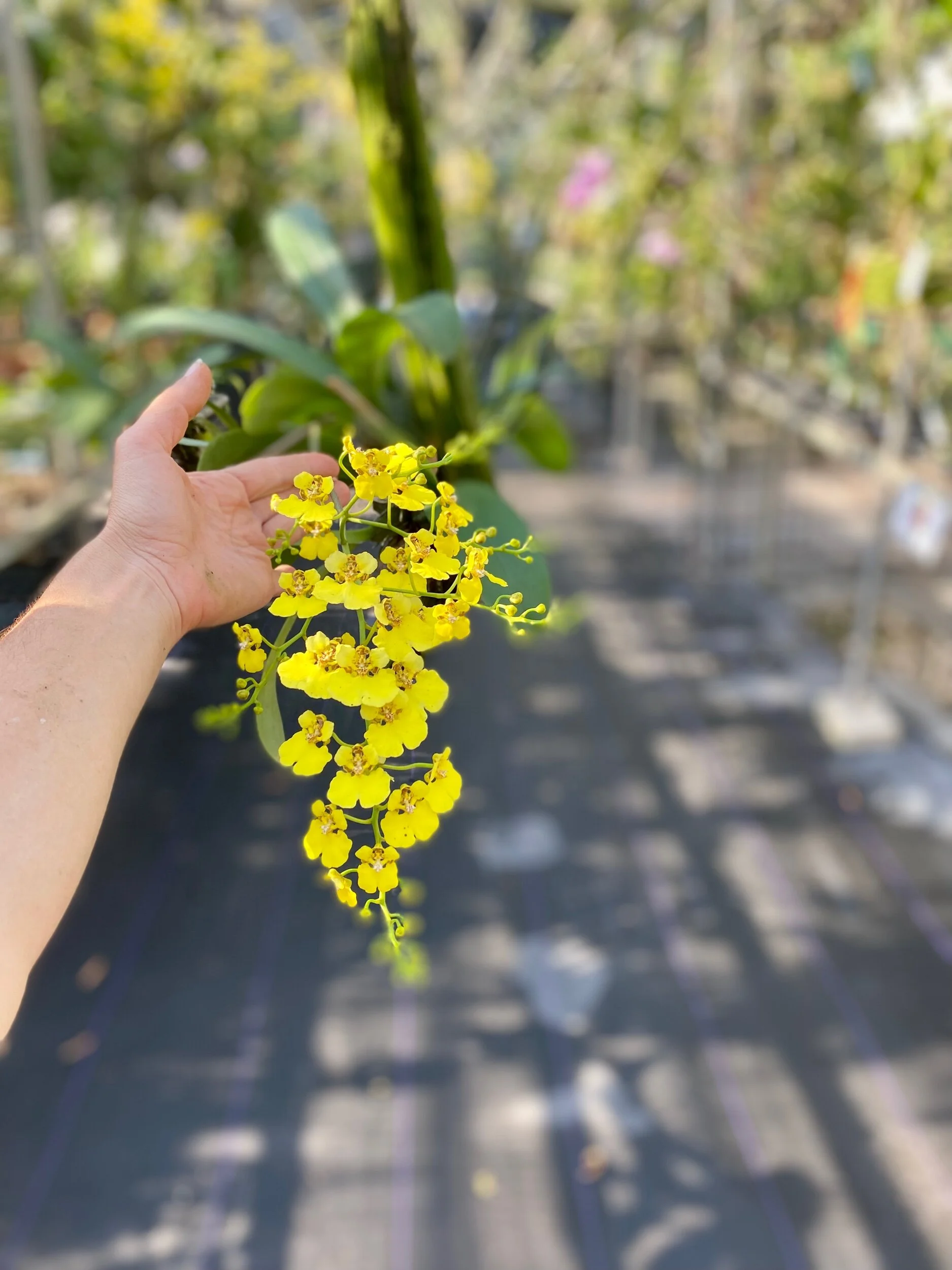 0E7E62DB-7A5A-4837-B4BC-478D6E1C9070