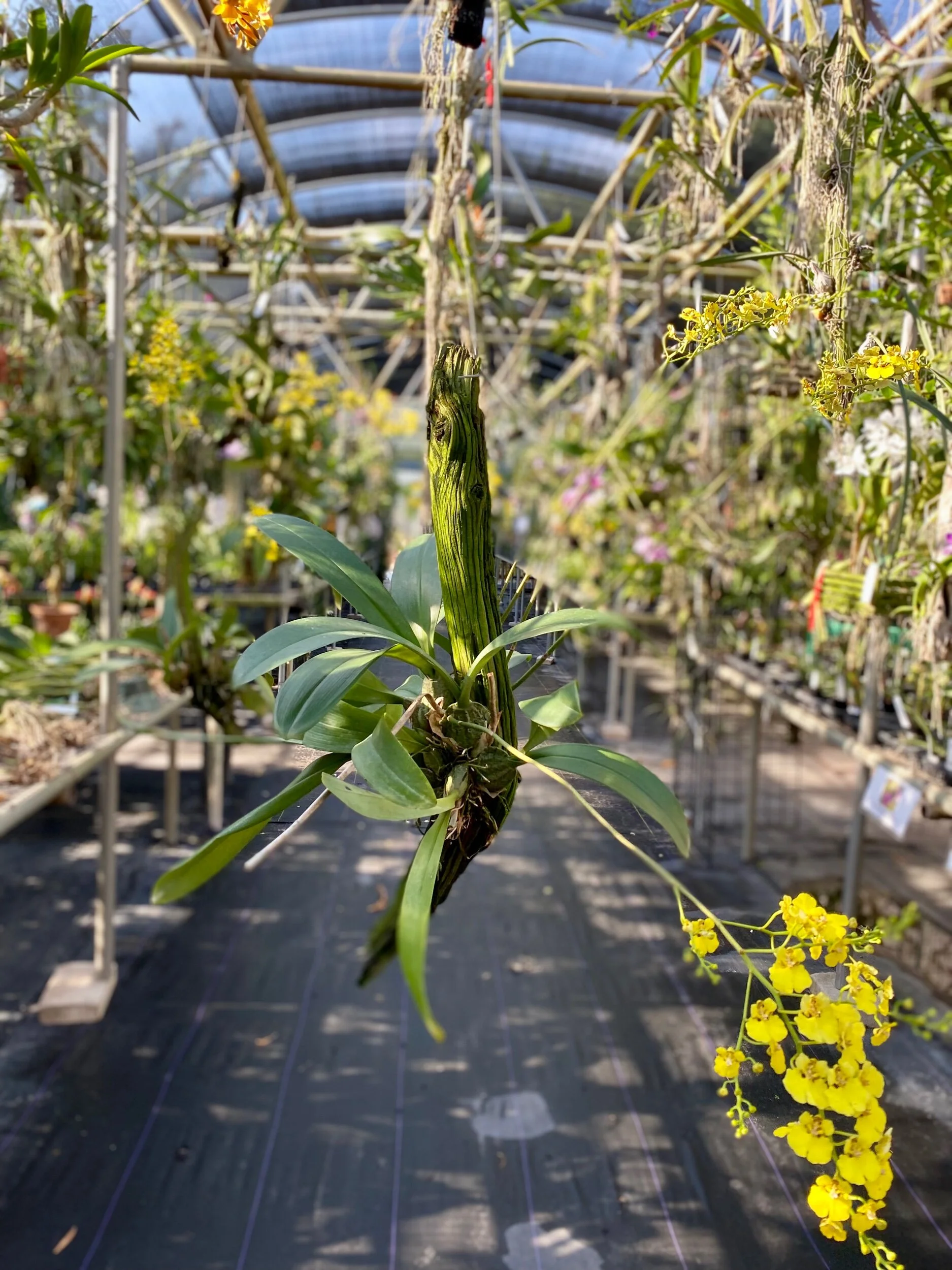 3D627C2A-BE73-4646-9BEB-D7DB8FB69AEA