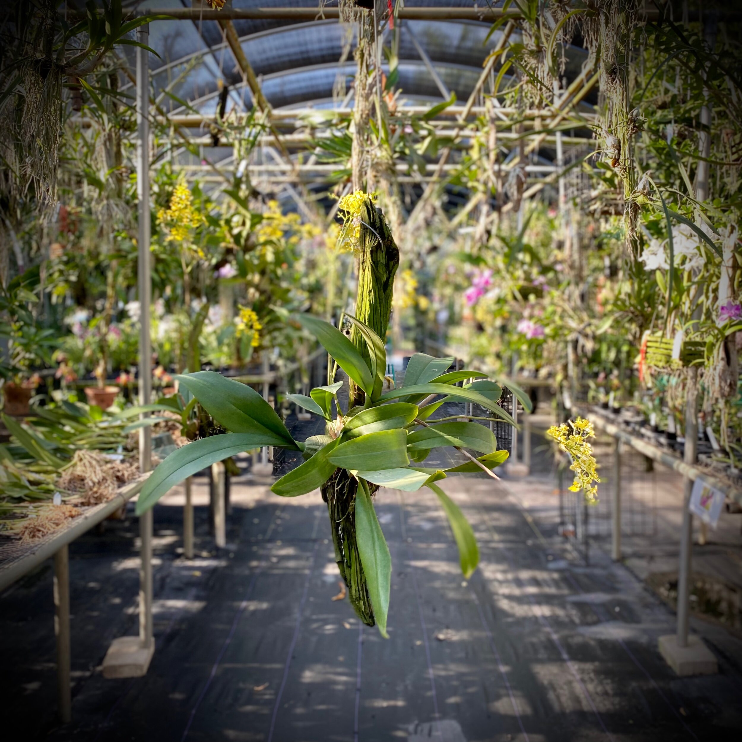 48B2CD03-6577-4CE6-861E-8F3A9795271C