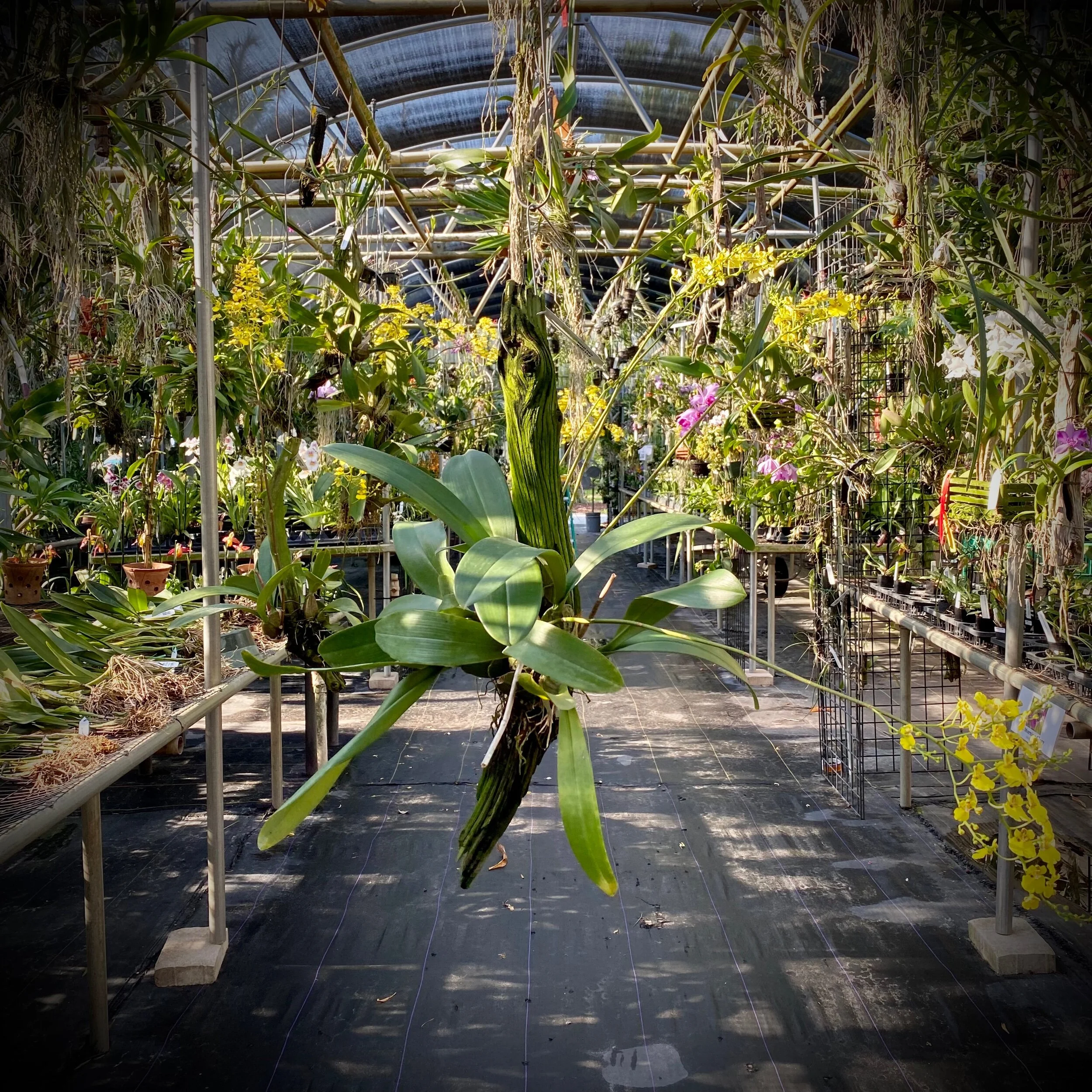 831AFD69-1273-4D7E-9D15-A7B68B80F72D