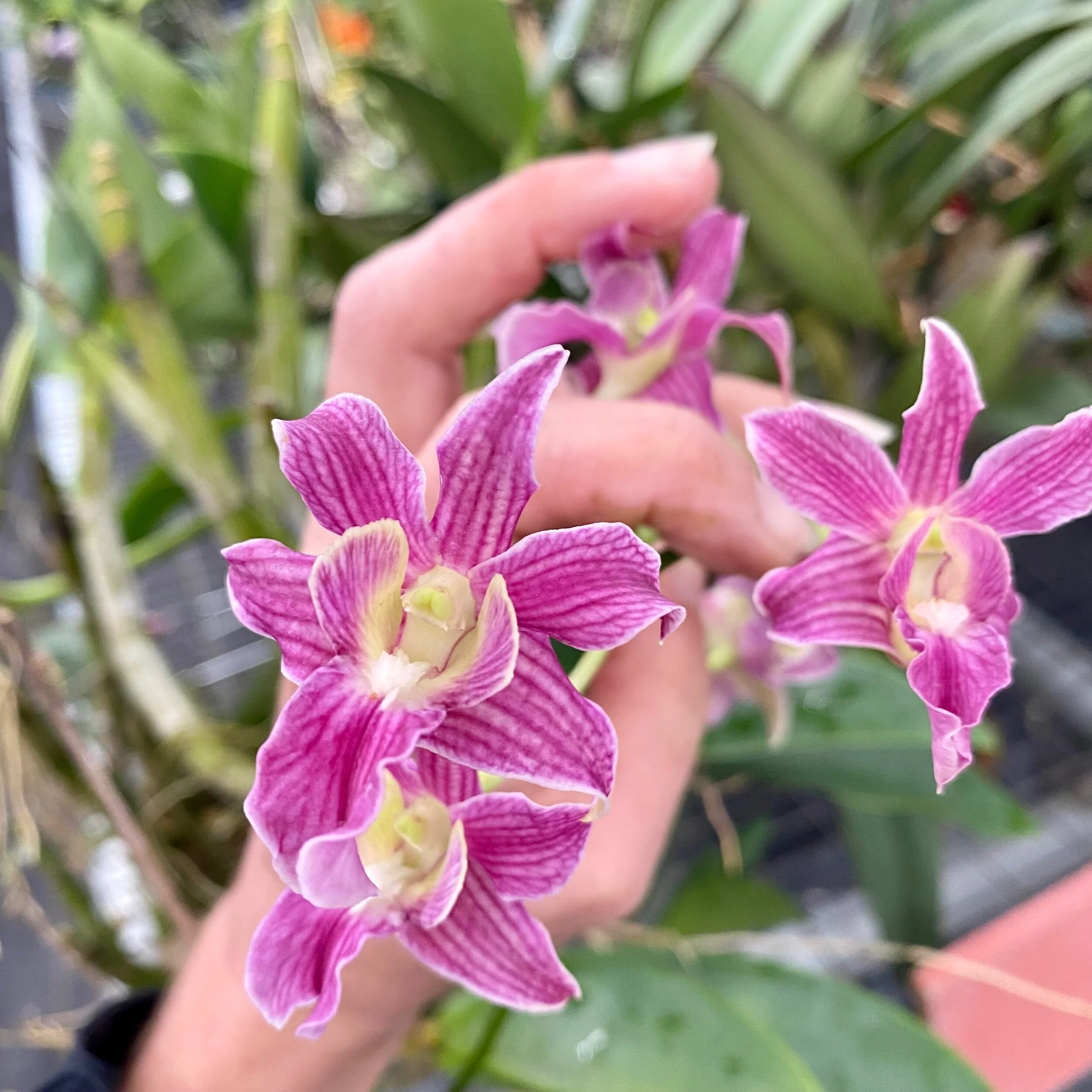 AFADD082-3029-4386-AC37-C254E82E4188