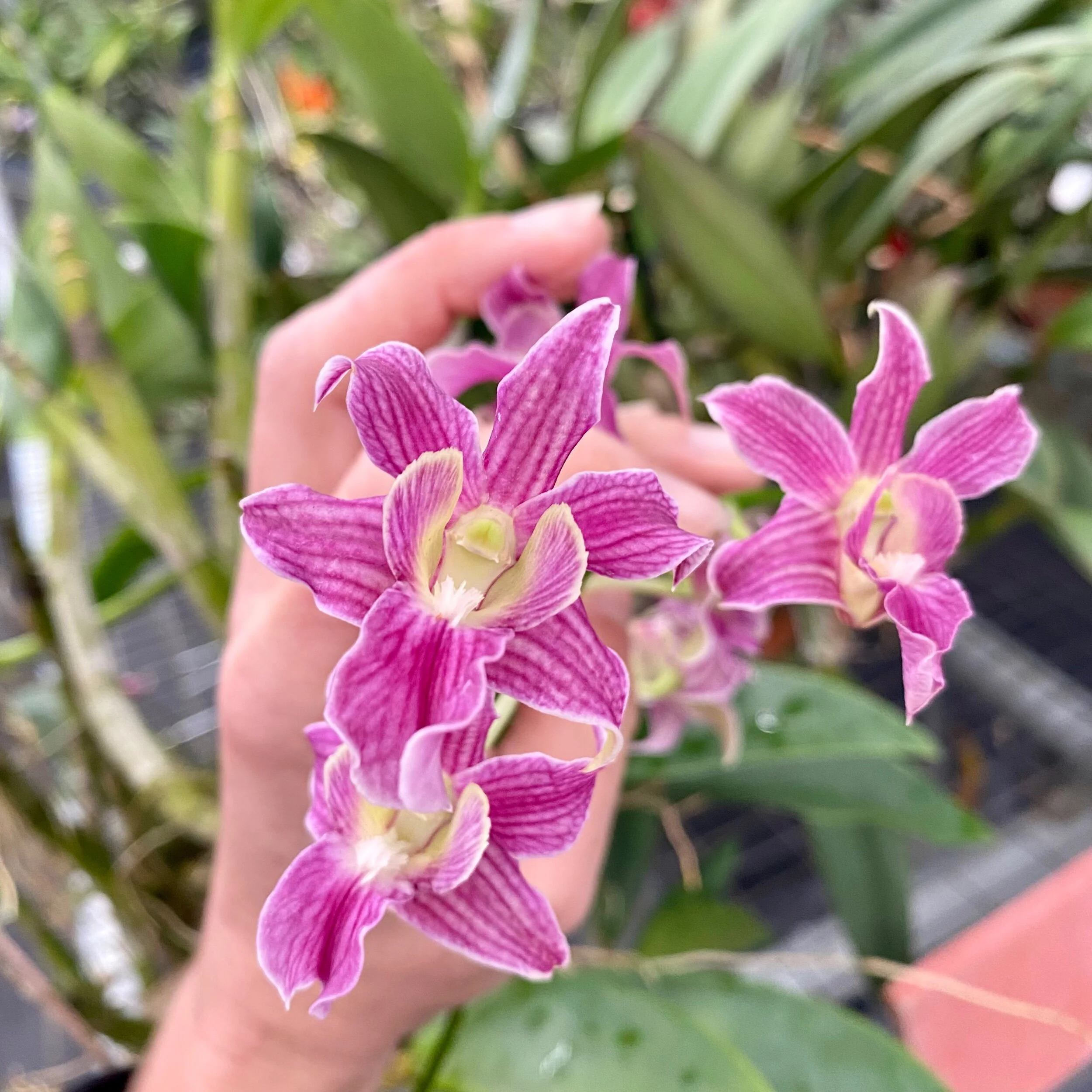 59D4533E-EDAF-4BB2-8A93-F10B1A50FC87