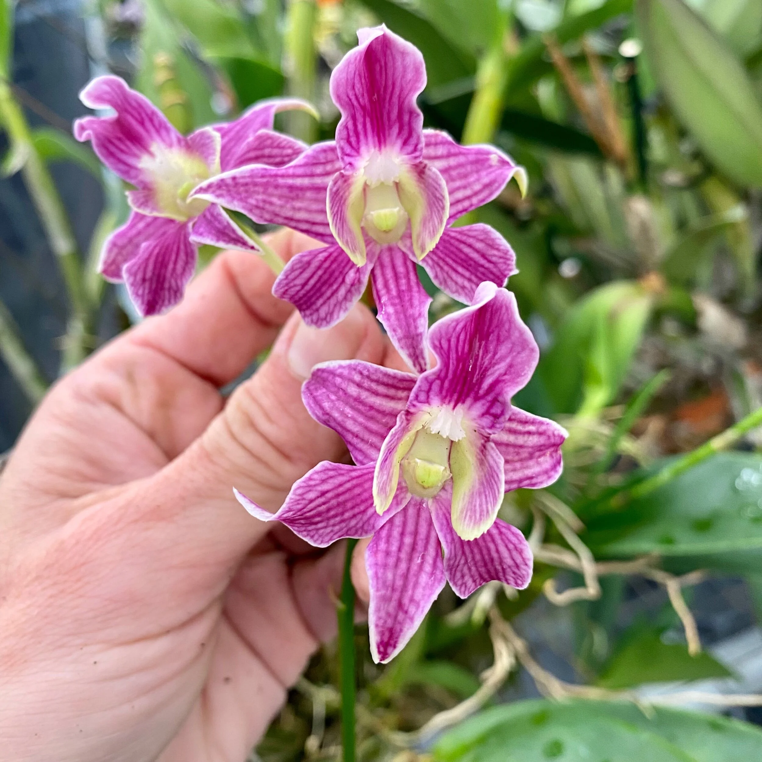 CF340053-882C-4763-AE0E-6407E91FDE83