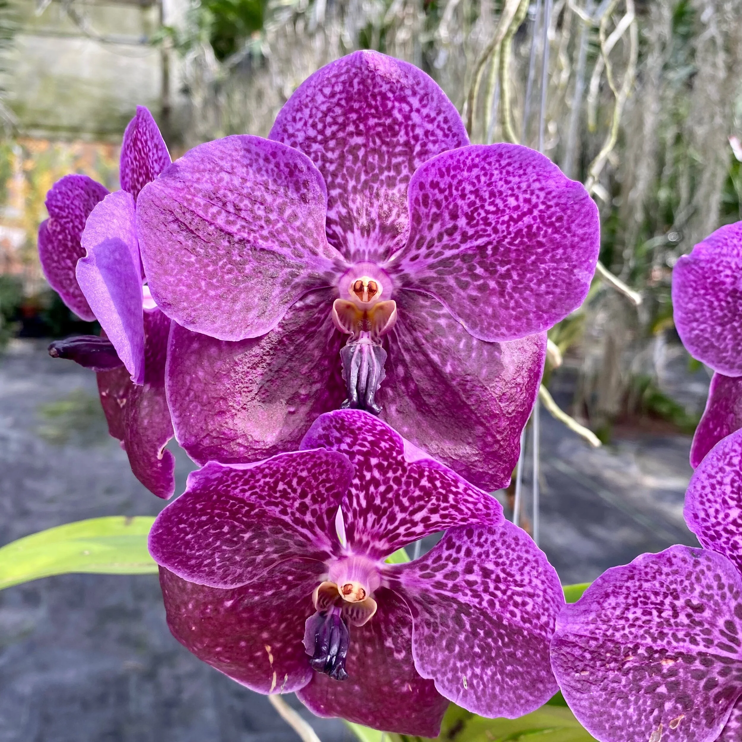 2561FA42-C6D6-4A74-B50E-0496BD9084C5