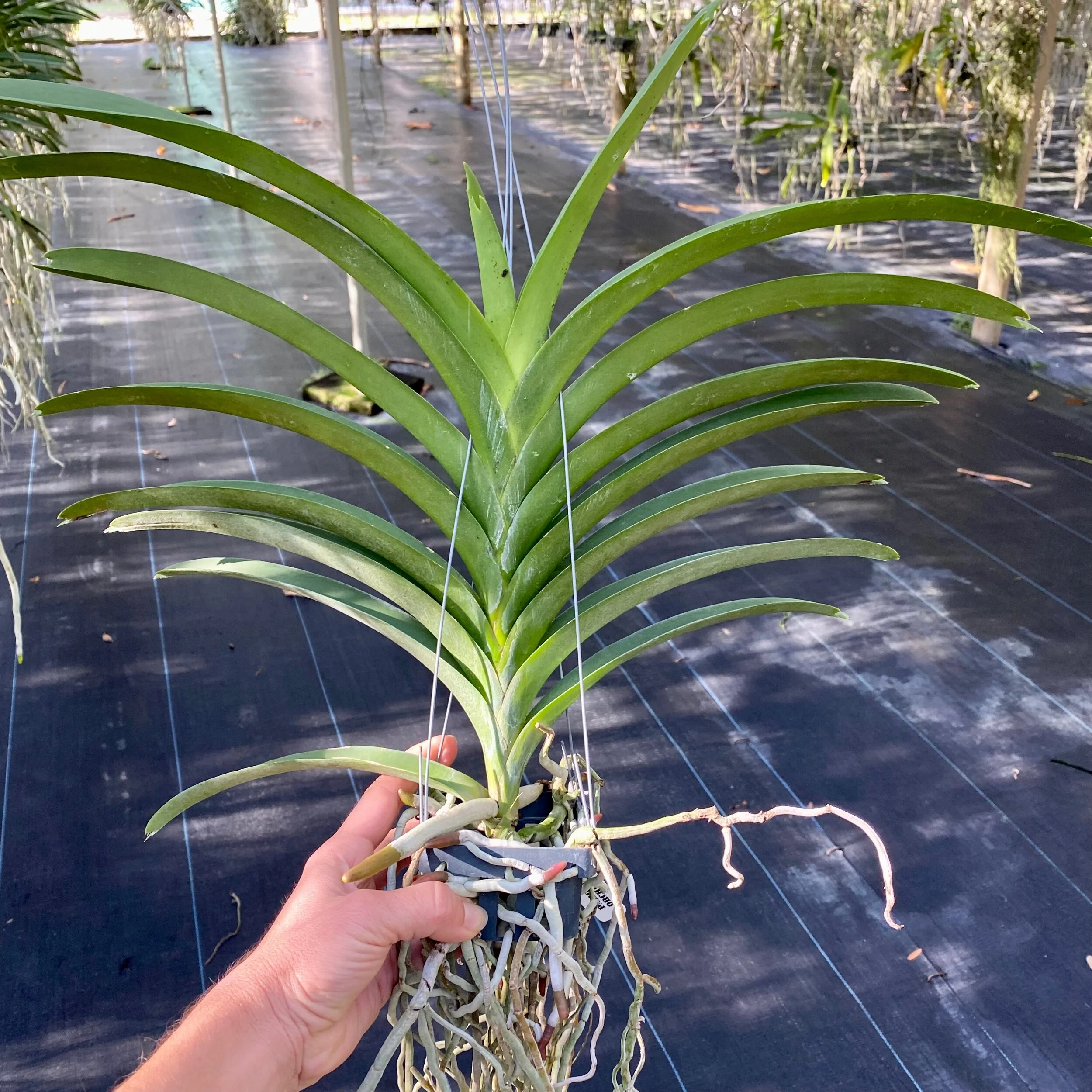 7CA7A18A-5C34-4C6F-9670-A811F4CFC7CD