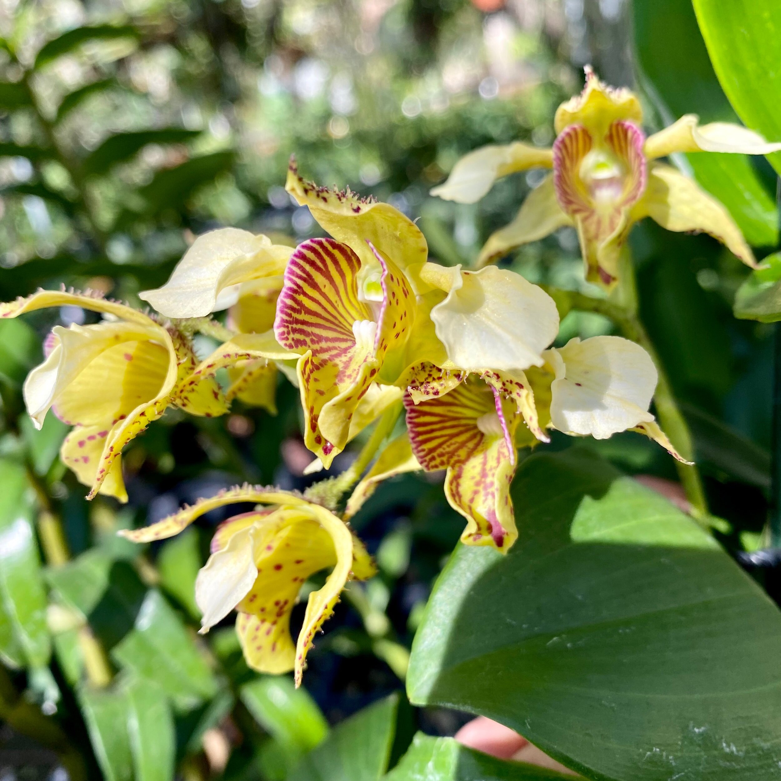 A813A644-DB4F-43E7-A06D-3398C4BC80C2