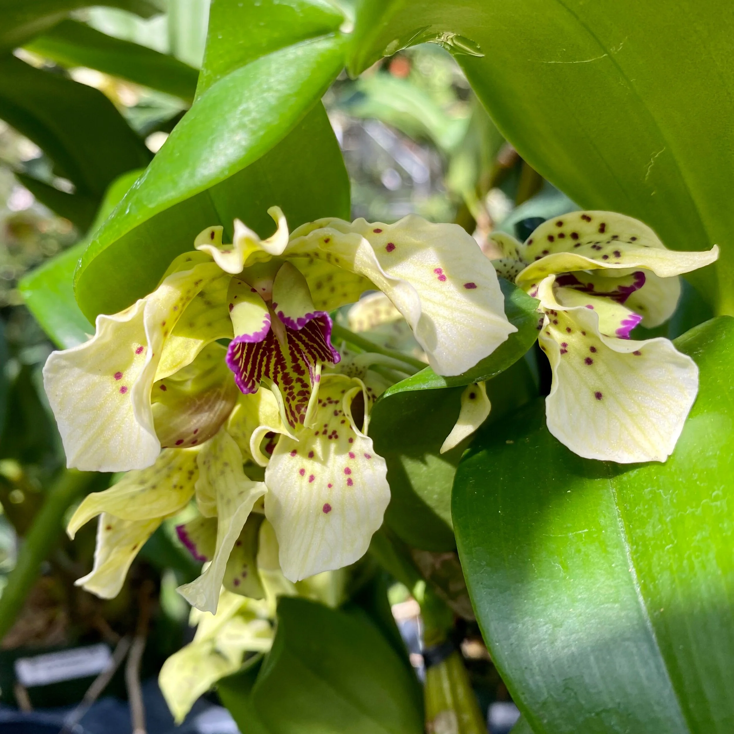 EEEB7FBD-8DF0-4AC9-81EB-4A6F429CB957