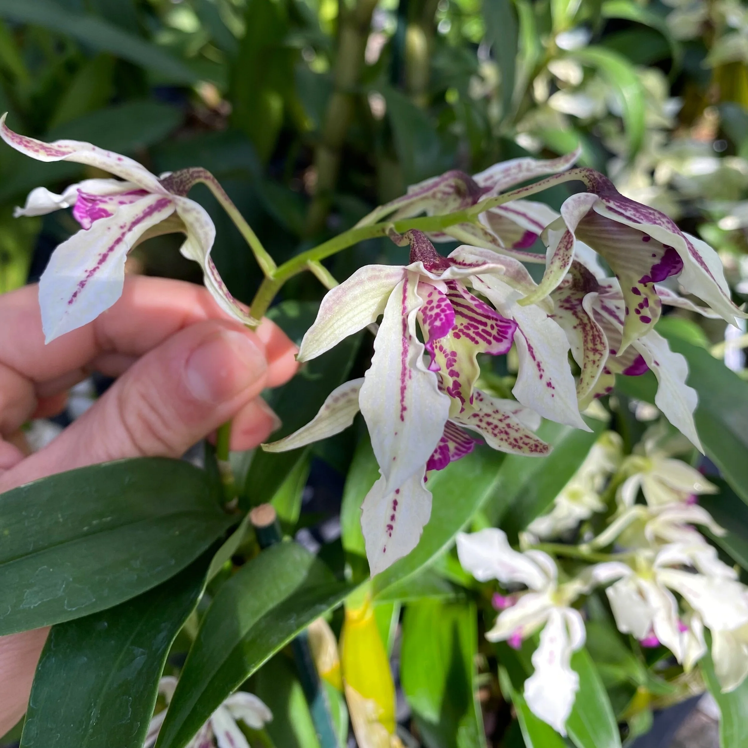 6B622F4A-98E7-4508-BFAB-C5BA9E086498