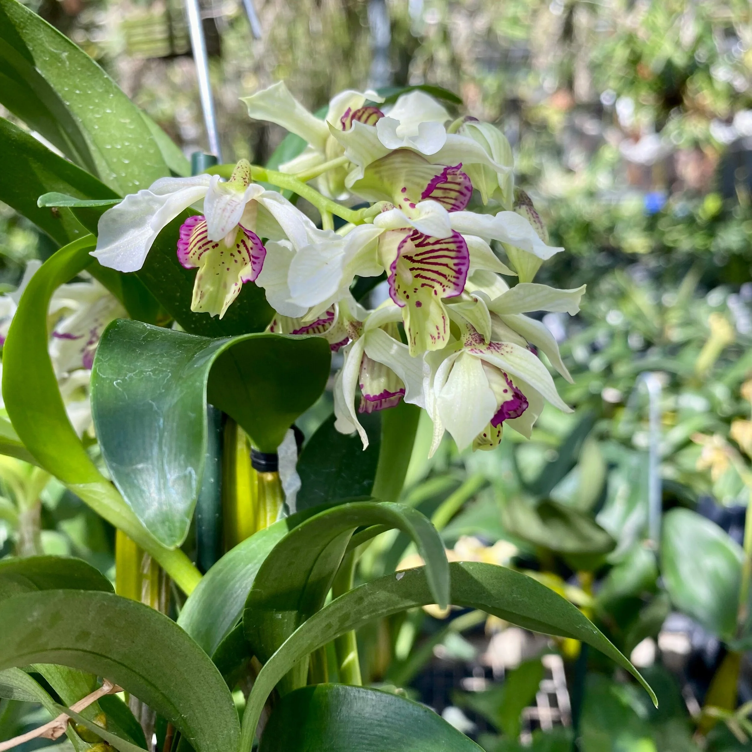 95D7724E-63F7-4DAA-8BA3-14DC4954849A