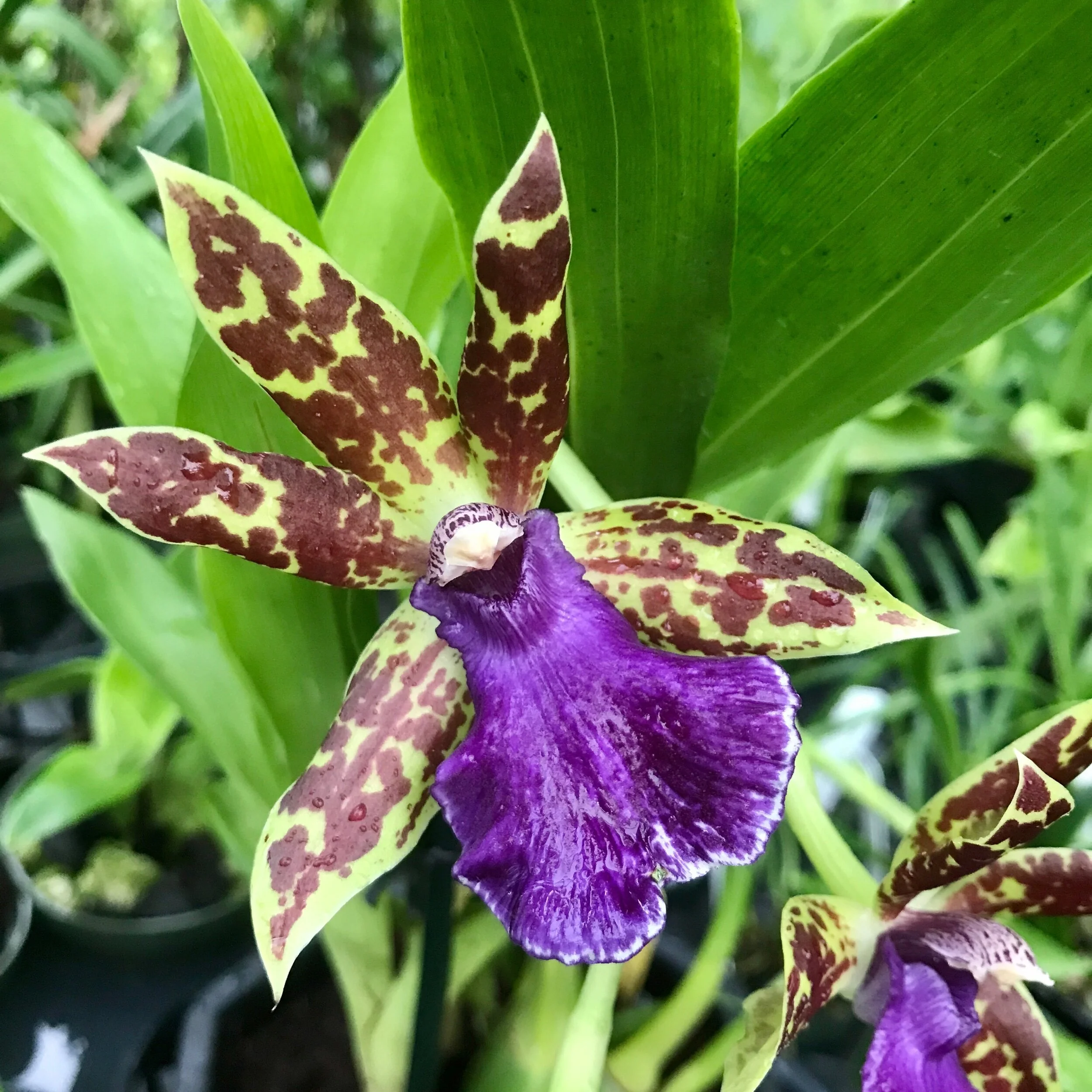 C3A60A36-EB88-4D8D-A83E-ECF072F80D29