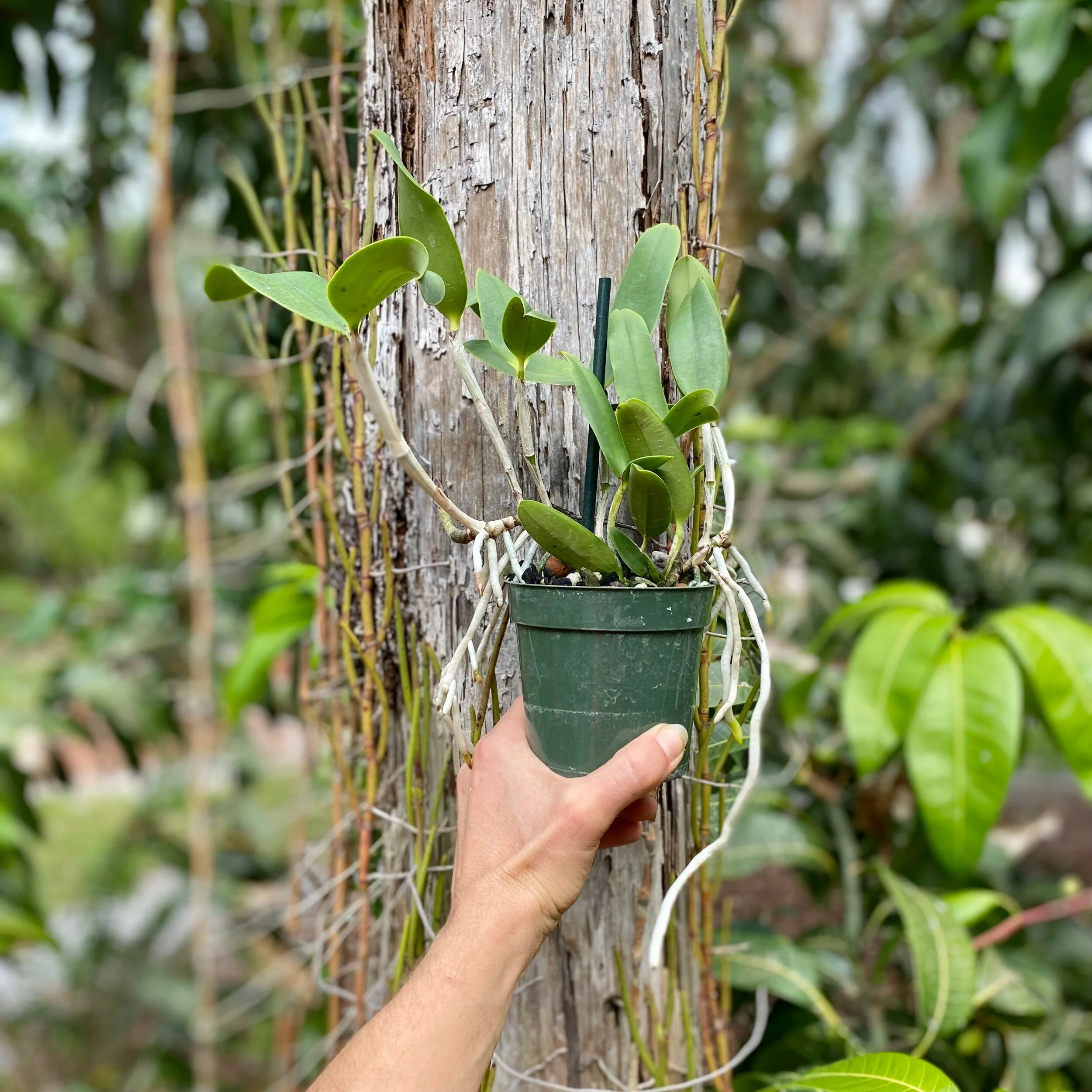 15F3AA71-A1E0-49C9-9E5C-54FF3B47FEEE