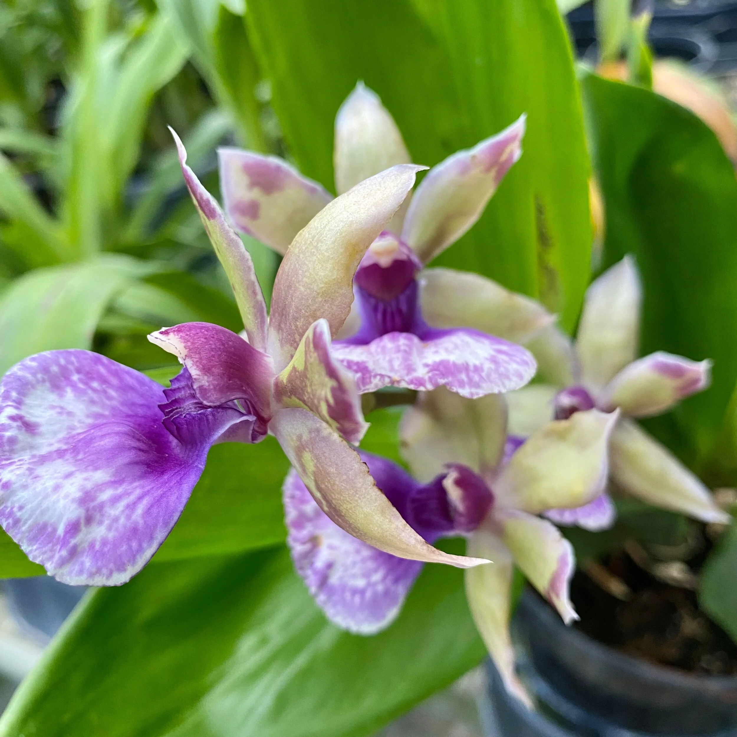 E90F57F3-91D1-4BF2-828B-C8FCCDBFCA23