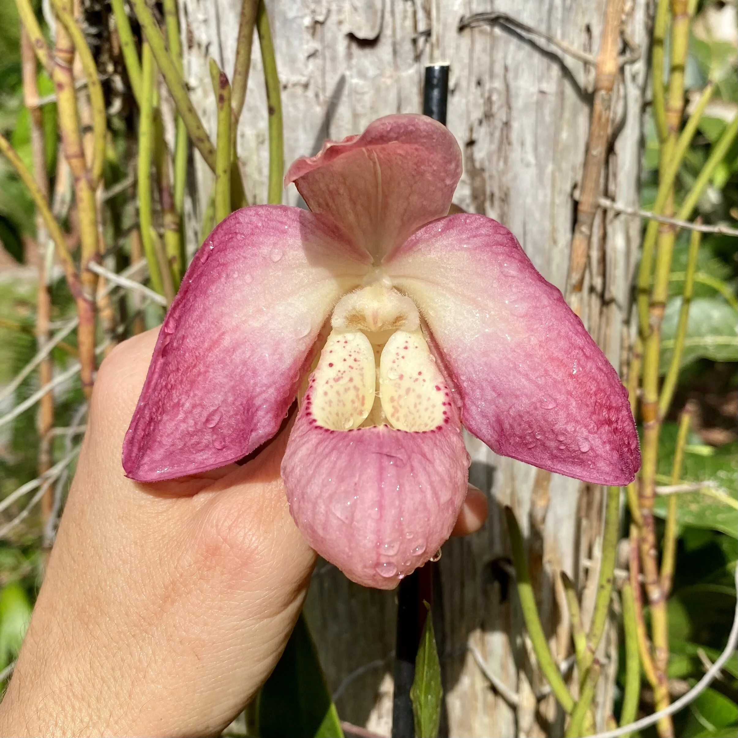 DD13108D-9843-48A0-A2D9-CEFBEA813B8C