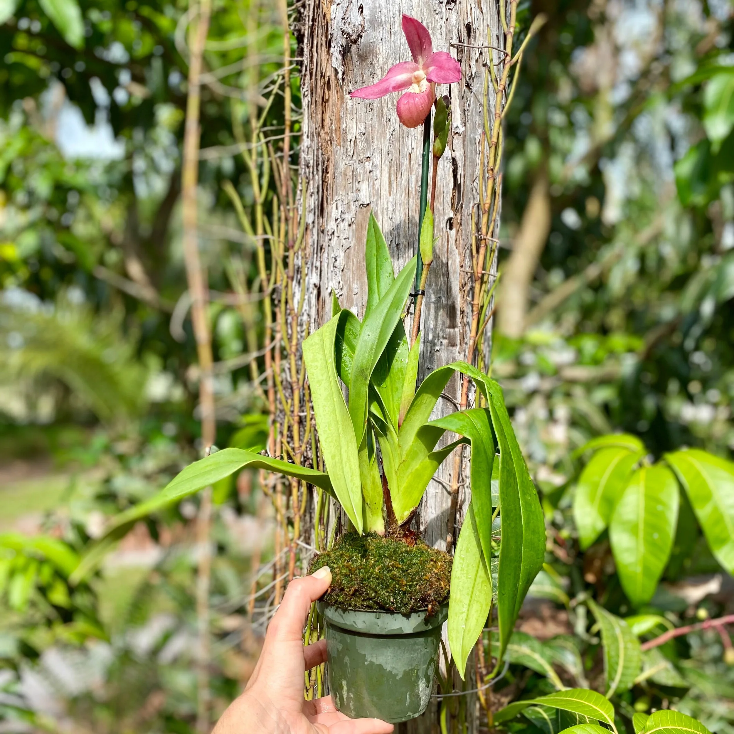 6FD13552-7B8C-430A-B625-7BB1352896C7