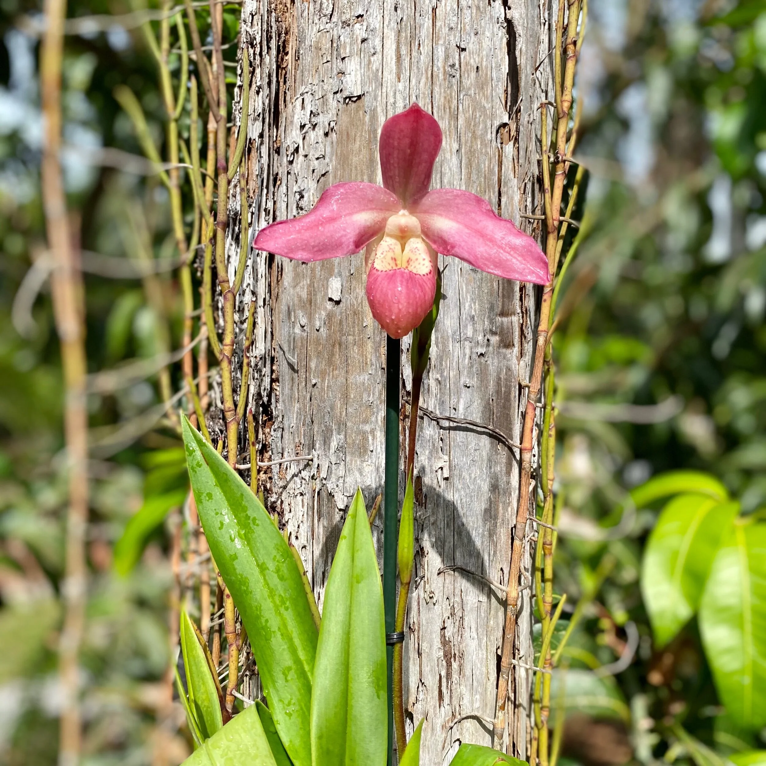 B1FB059E-9F72-4D13-883F-12F6EFCCB81F