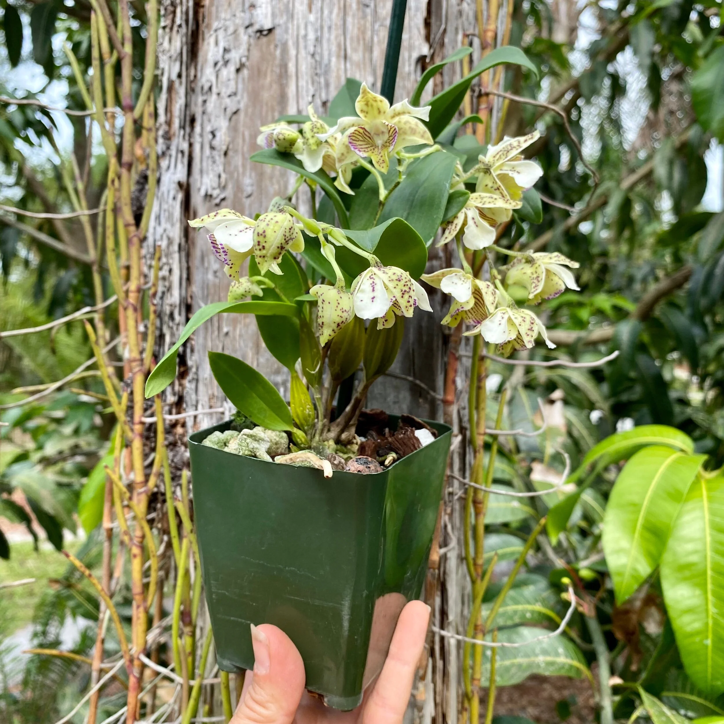 065CA6D5-2C91-448B-B3C2-DE8127C984DF