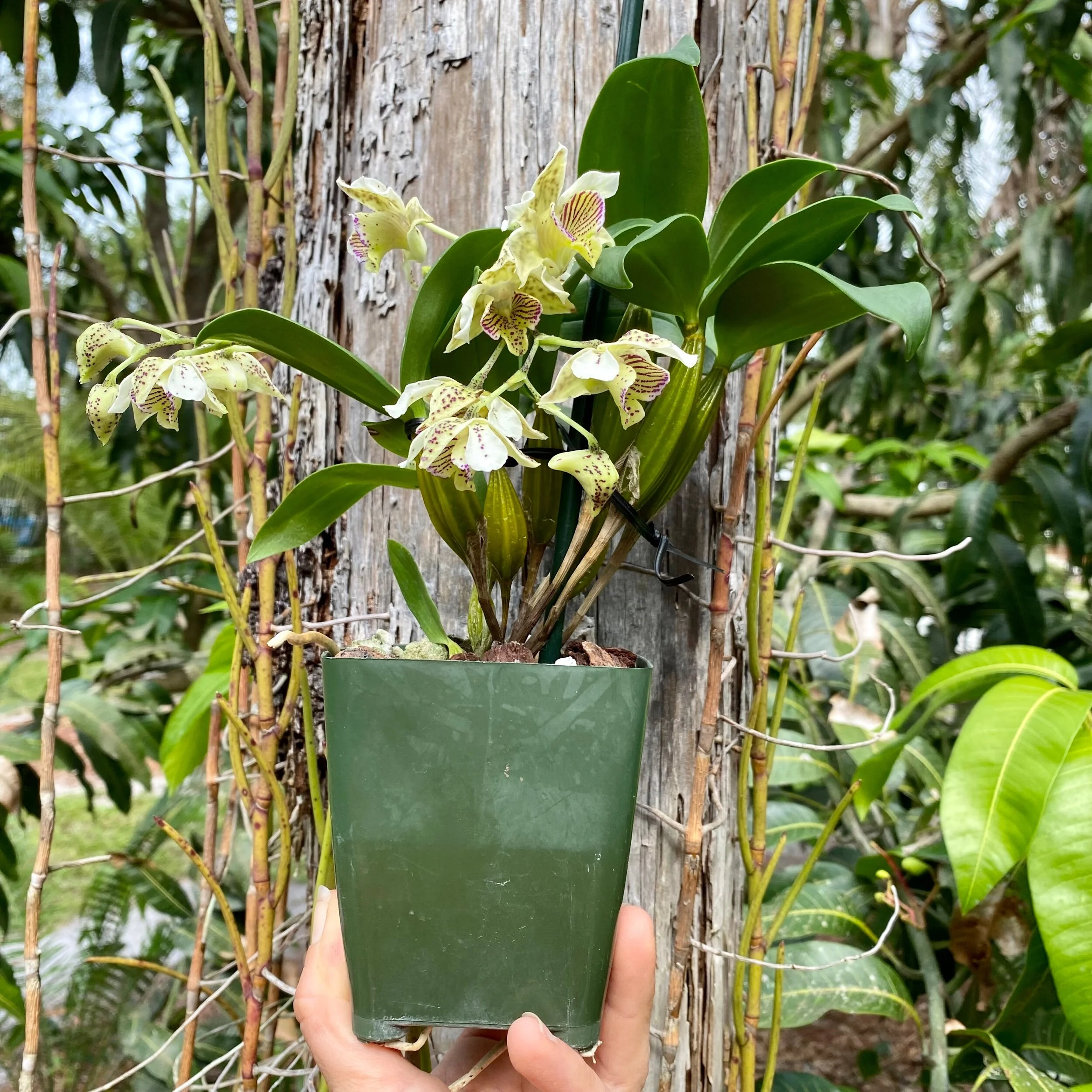 B98AEEDD-BC79-4239-B63B-44852A24AD61