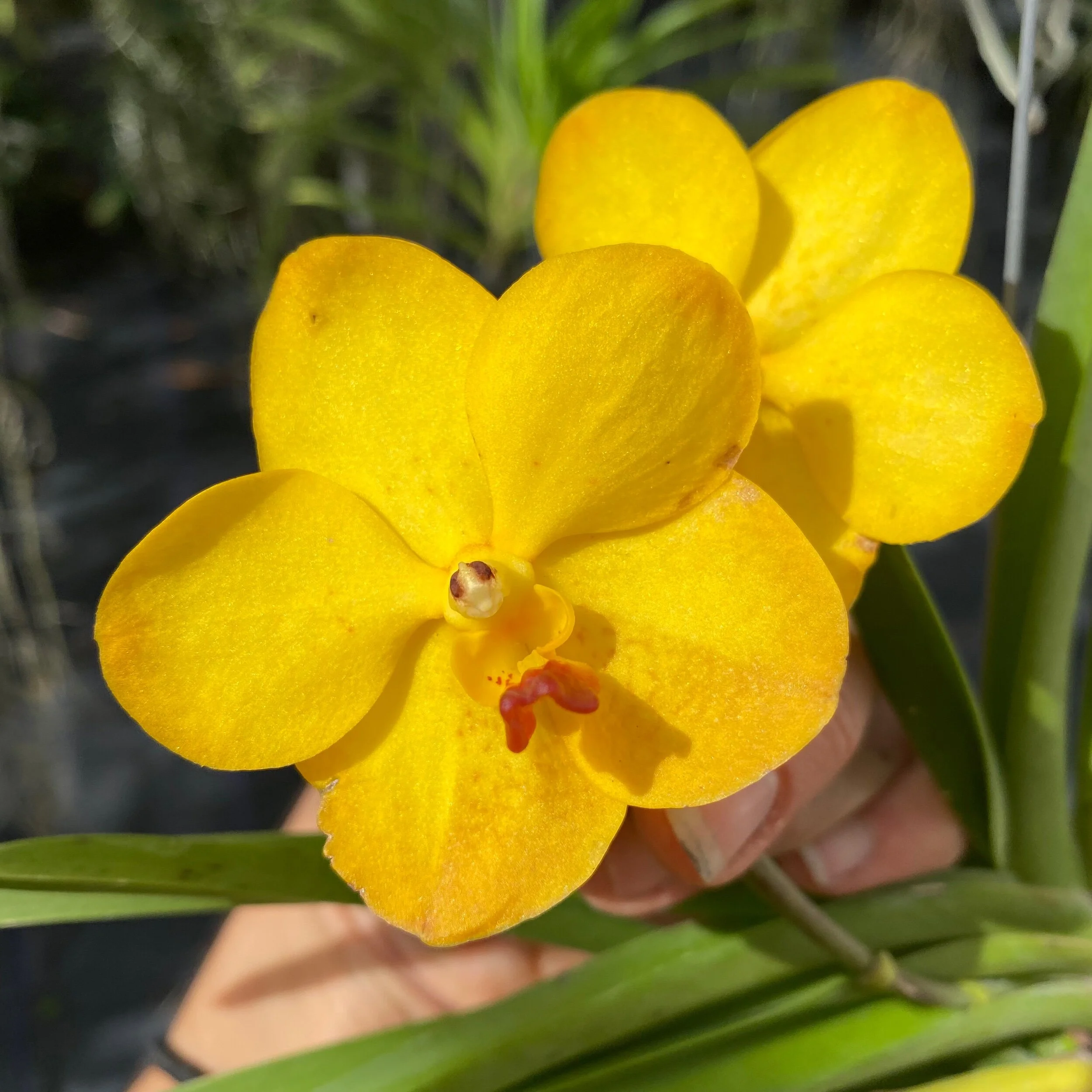 E997D9CE-9D1E-4542-9D5B-CD9256E12654