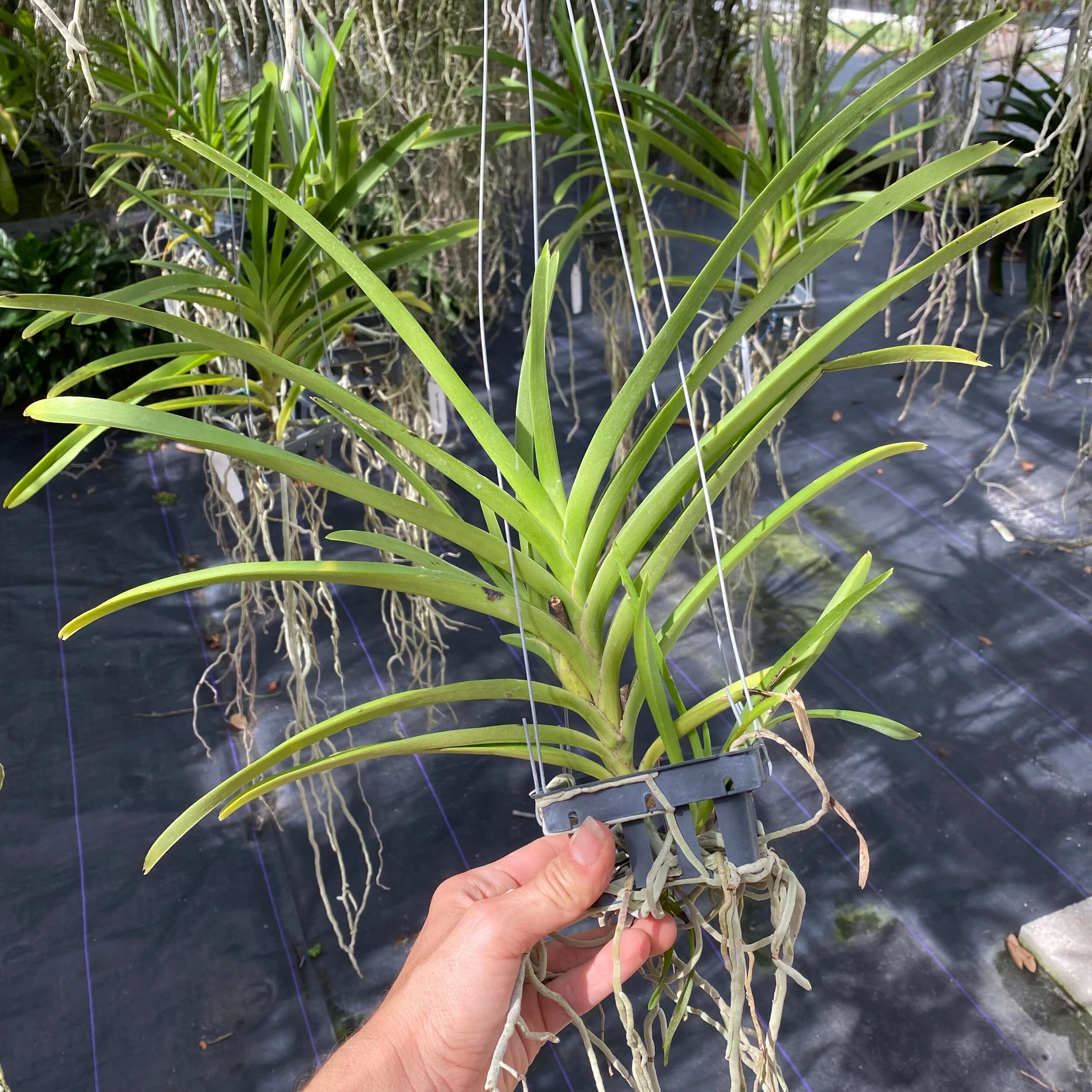 A74F1BA1-CE4D-4C20-A3DB-4639F3FA23CA