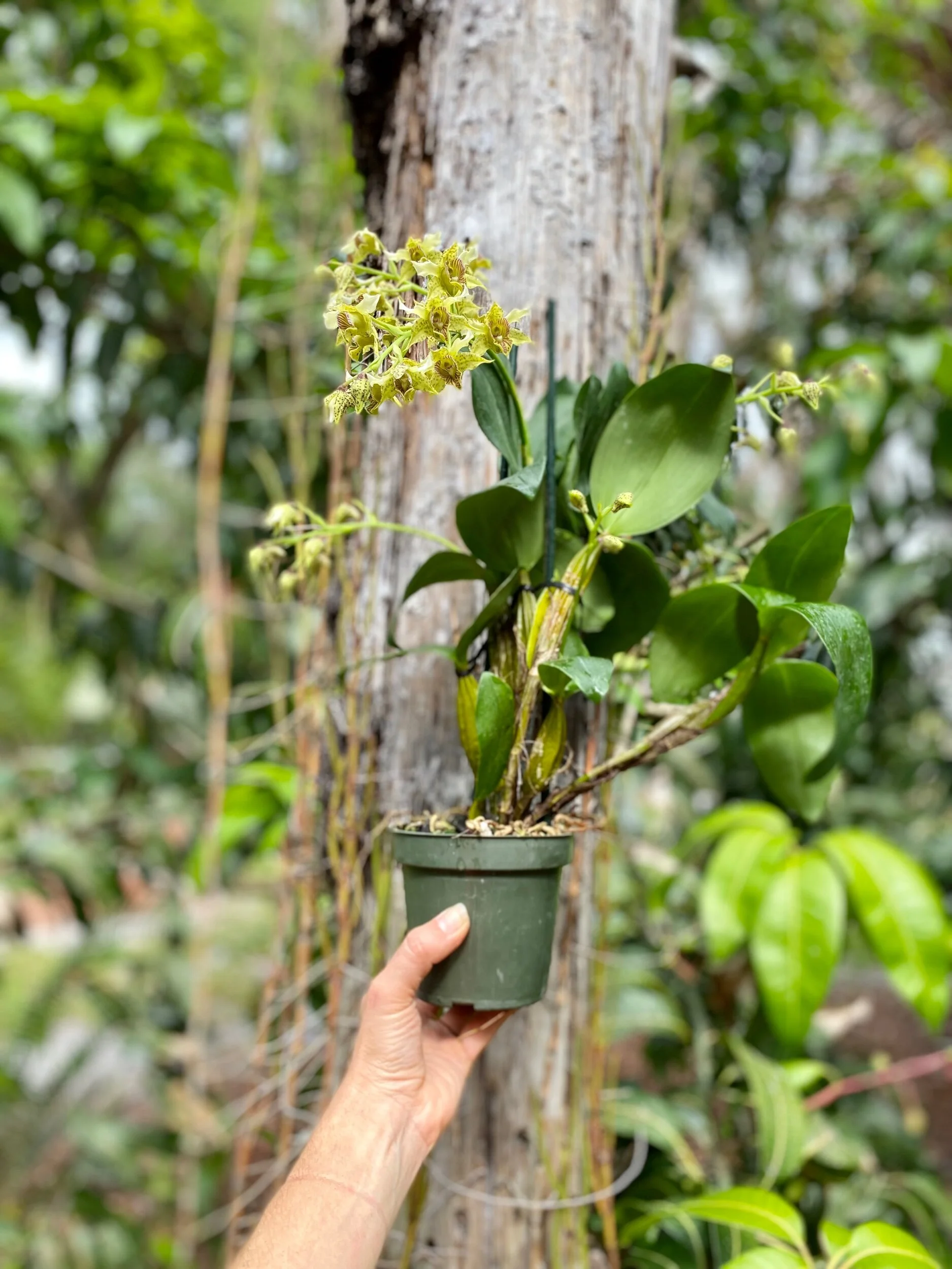 21DC041F-9AFA-42E7-ACD9-9785F0D0CE7D