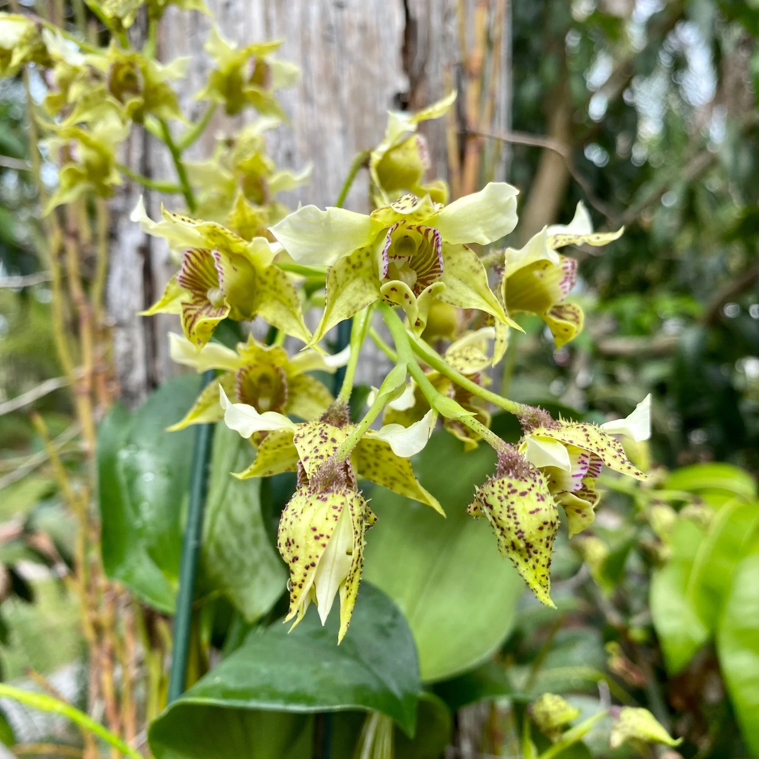 04AD9DB2-9995-4584-88FC-DD9983BAC3DC