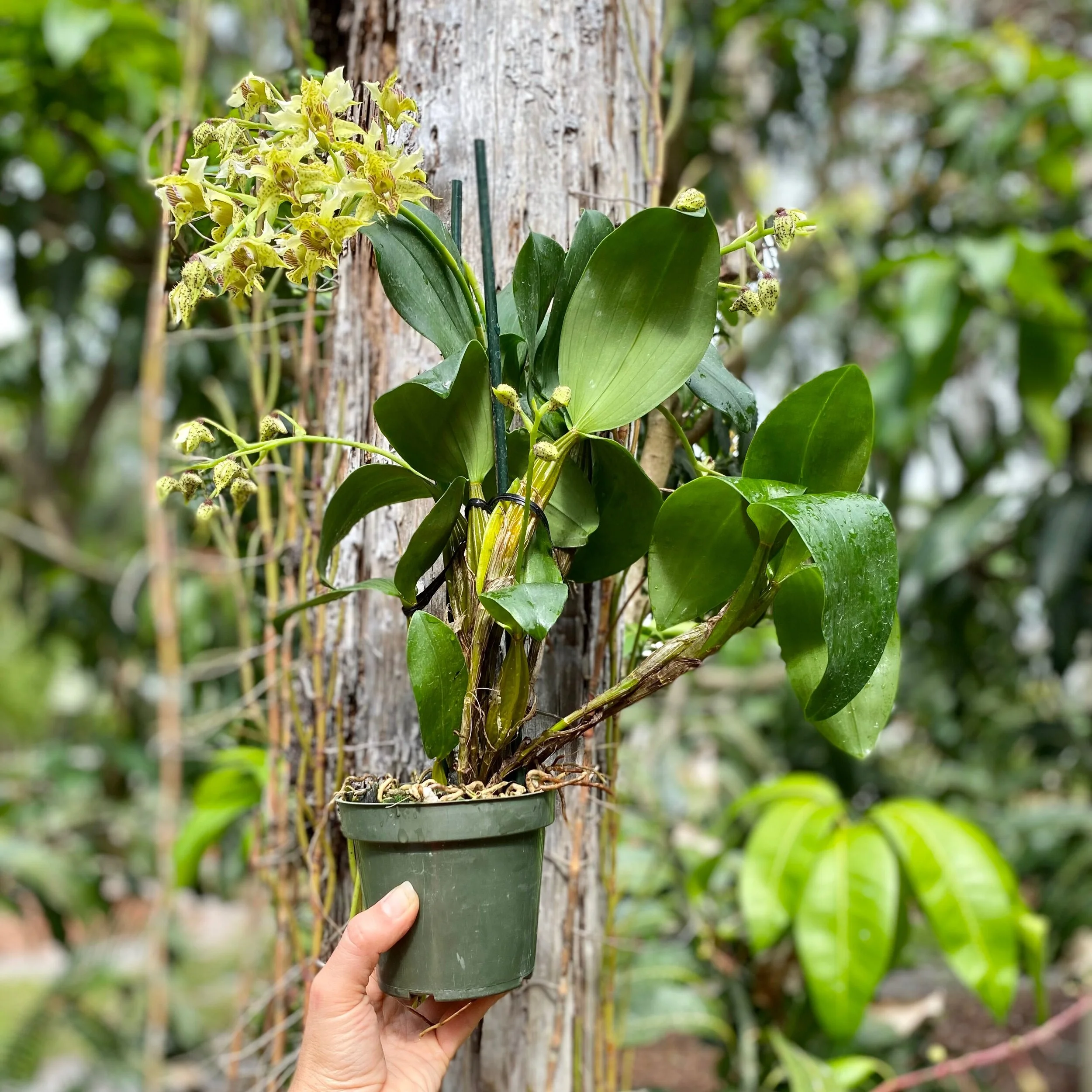 B7A569B2-DD35-457F-9D5A-5EDC7E4220B3