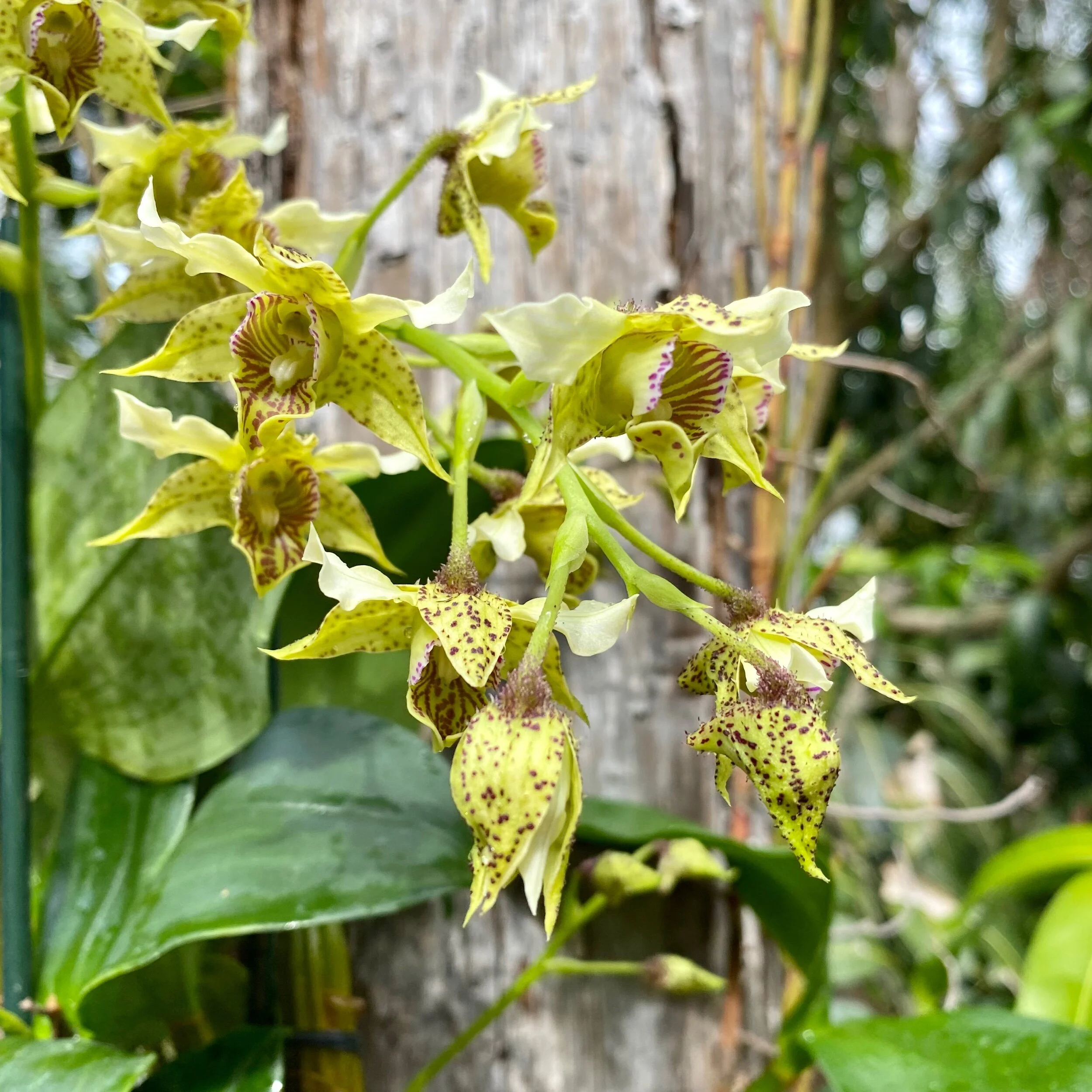 4415F1A0-7BFA-4363-92F4-07B2C01E122B