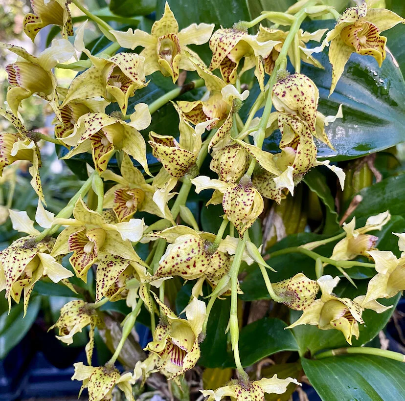 55A094D8-54BF-40FD-A8D4-16339F51EAEC