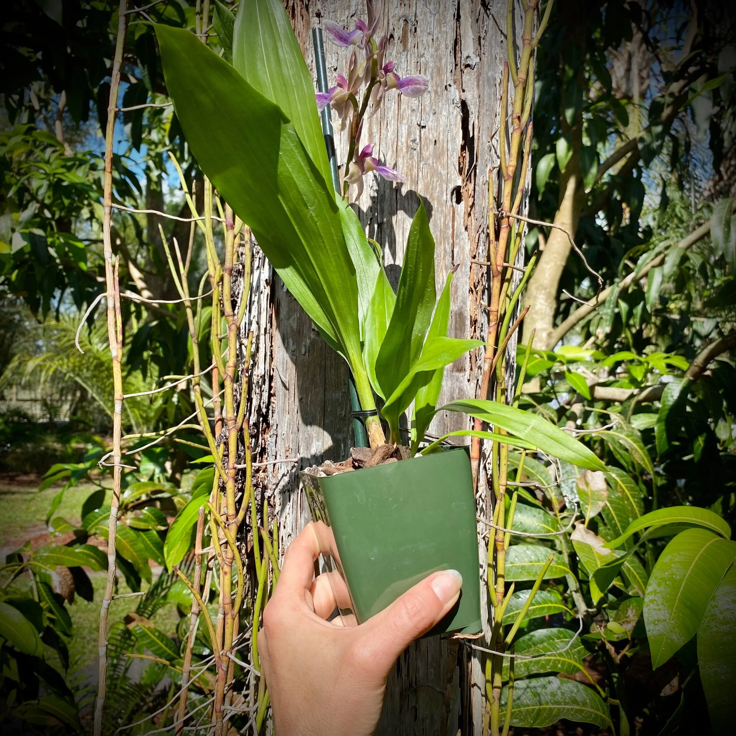 B4B16C1A-FD90-4FFB-9914-45AD692CF14A