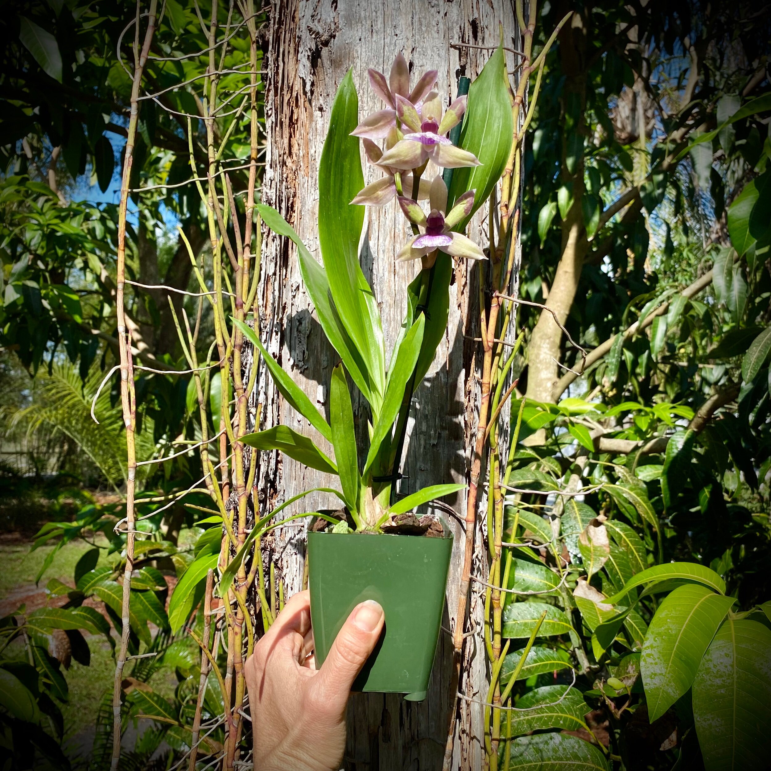 48DDDD21-A29D-47A0-9A38-22641FE6E59B