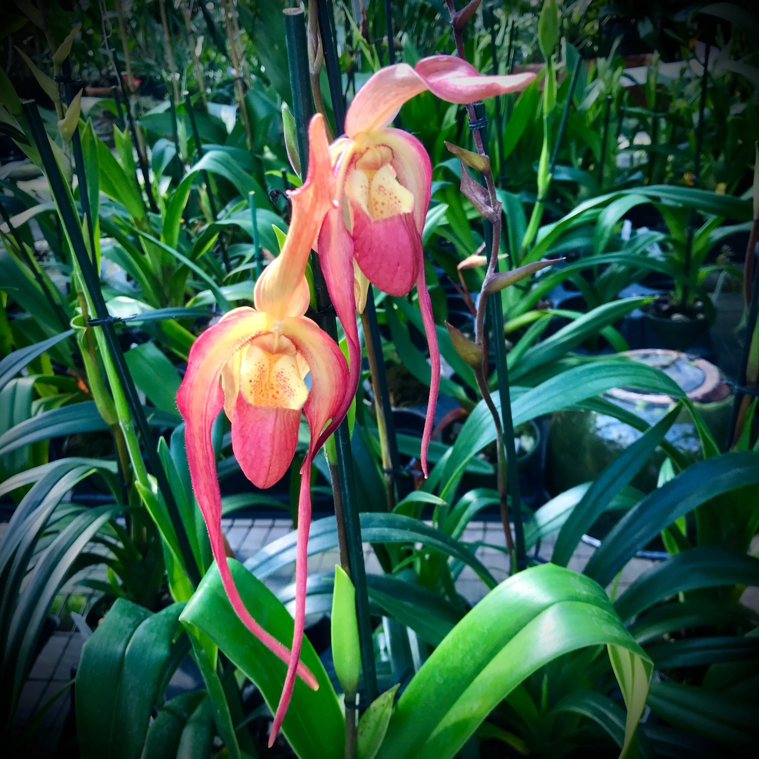 5307EA14-8DD4-4F00-97B7-B141E81425EE